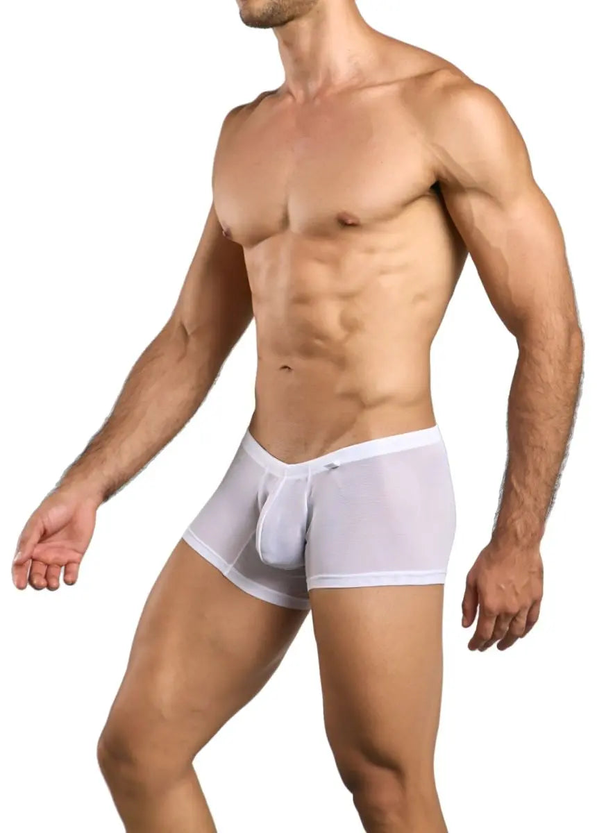 MaleBasics 남성 속옷 MBL78 레이스 트렁크 색상 화이트 메쉬