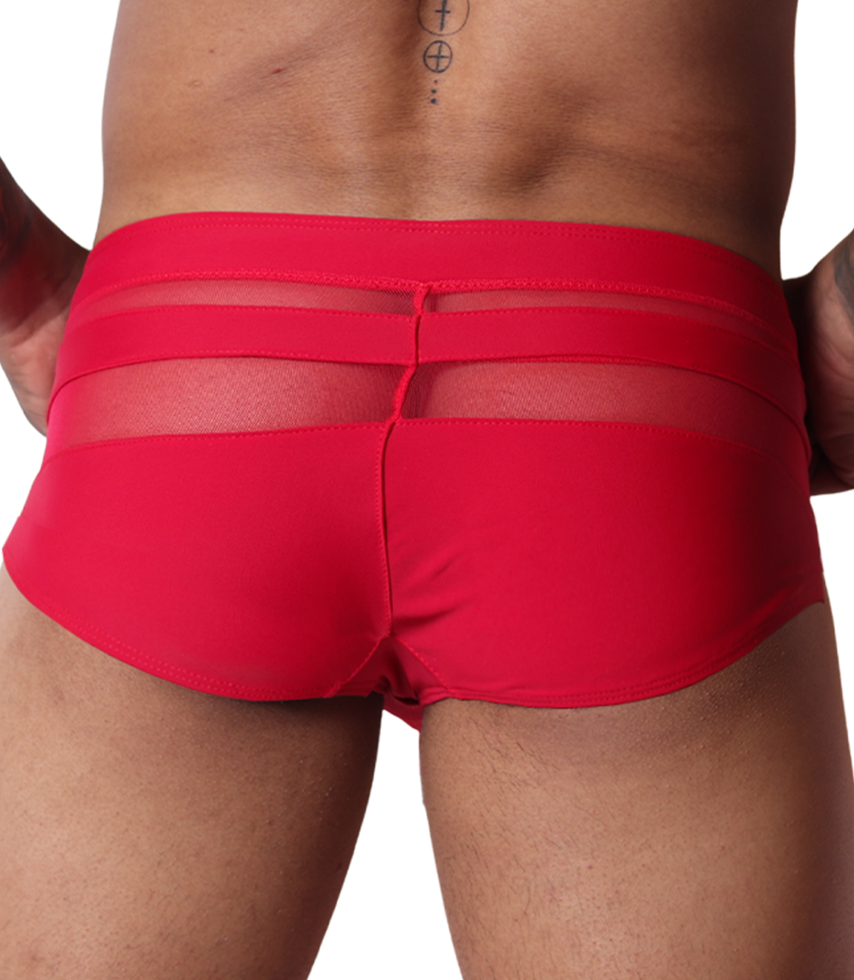 Back view of Gigo red swim brief, featuring sheer mesh panel detailing and smooth fabric design.