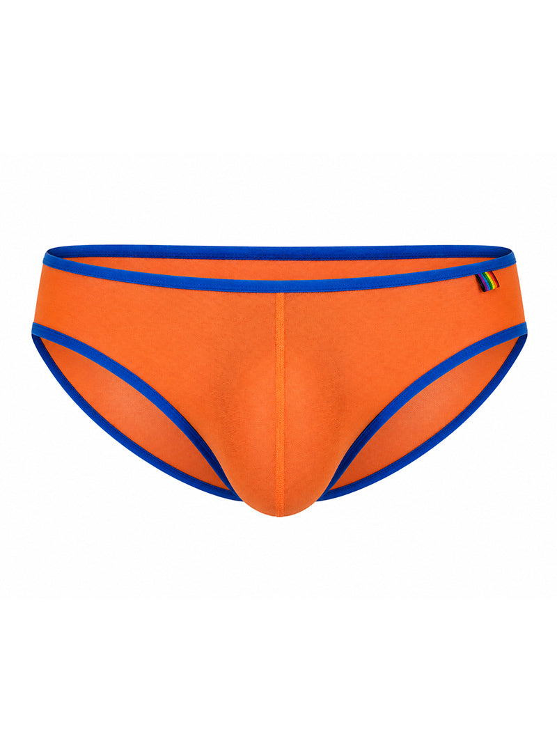 Pride USA Men's Mesh Gossamer Bikini Low-Rise Sheer Underwear