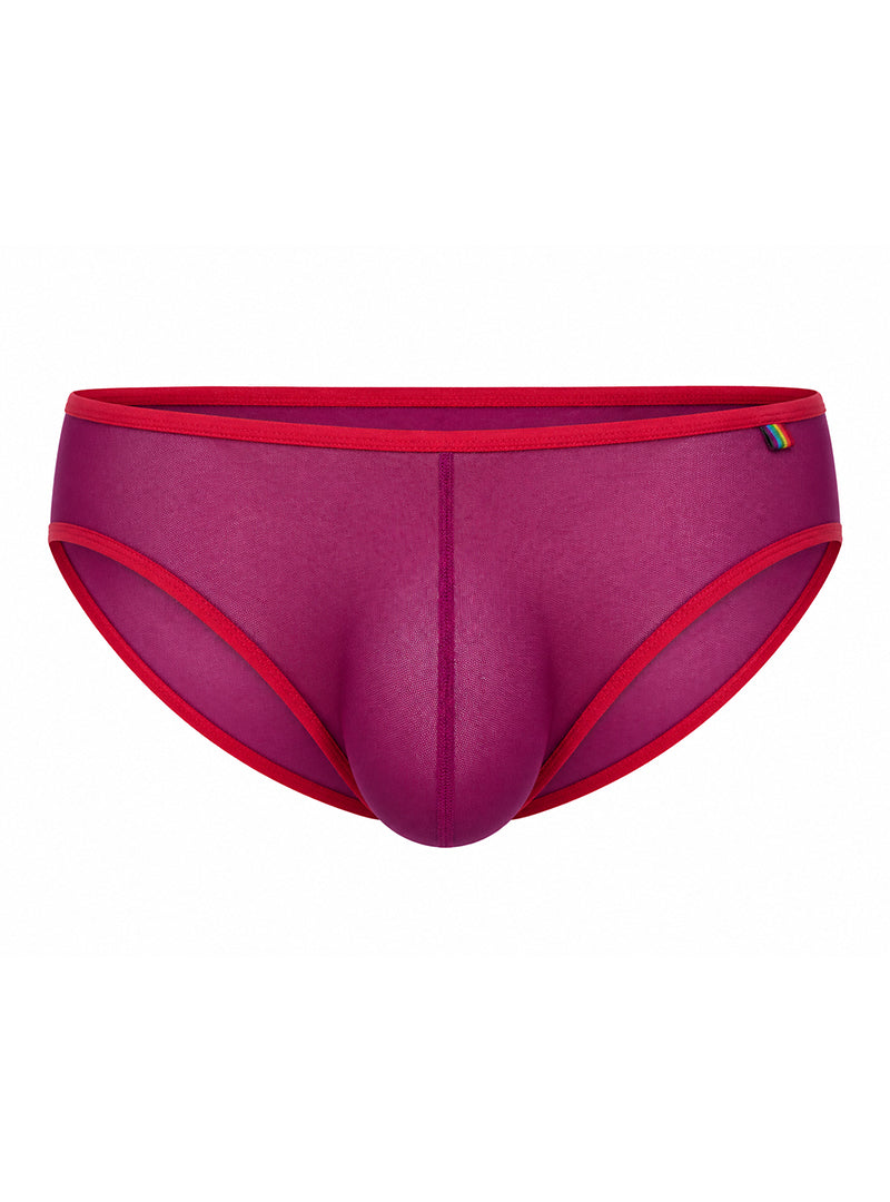Pride USA Men's Mesh Gossamer Bikini Low-Rise Sheer Underwear