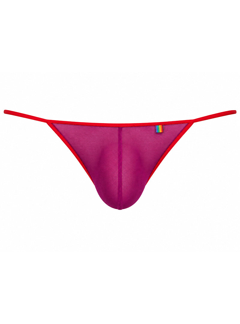 Pride USA Men's Mesh Gossamer G-String