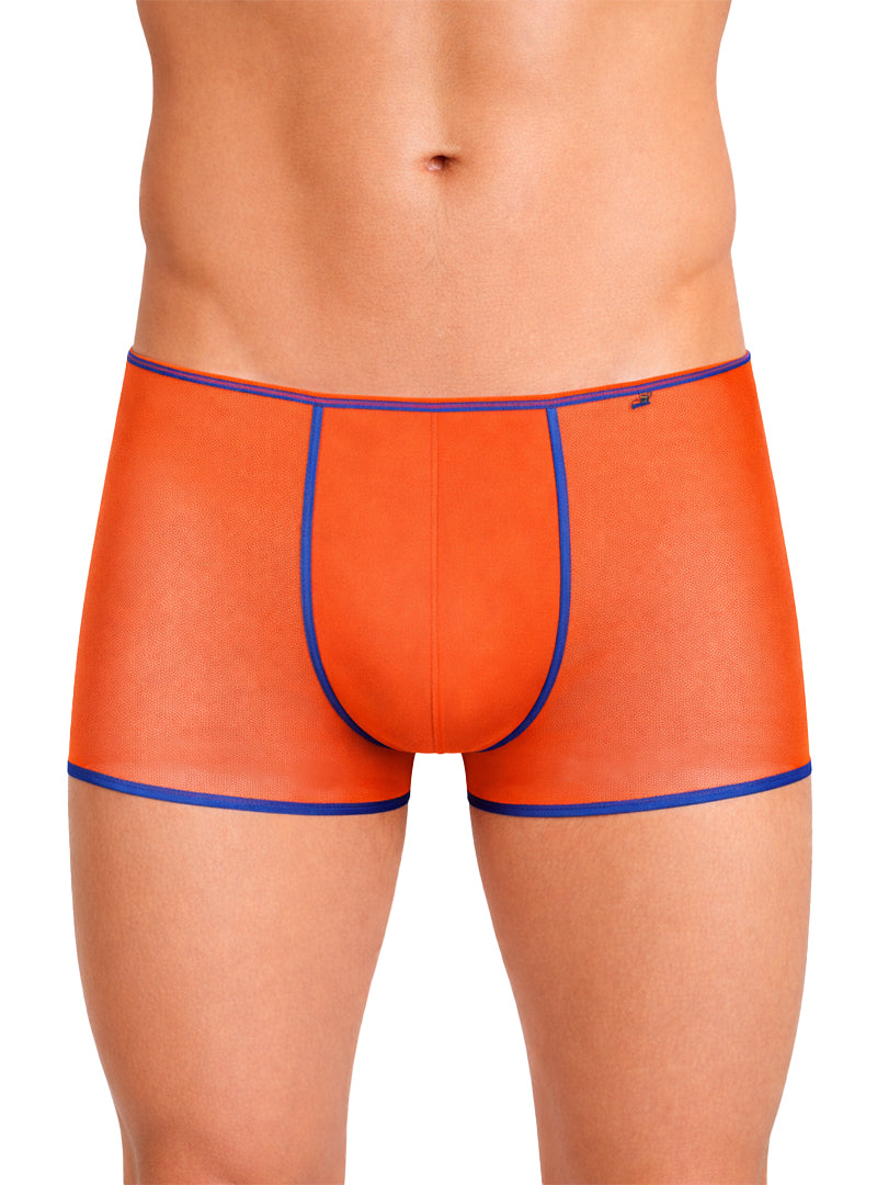 Pride USA Men's Mesh Gossammer Trunk