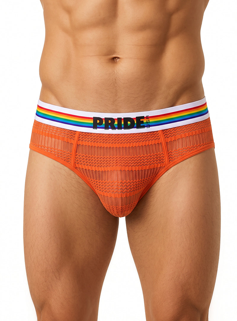 Pride USA Men's Sheer Mesh Archery Brief See-Through Underwear