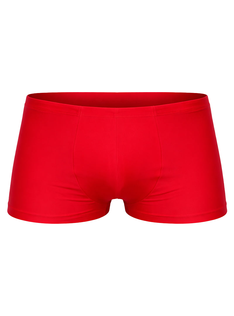 Pride USA Men's Solid Full Coverage Boost Trunk