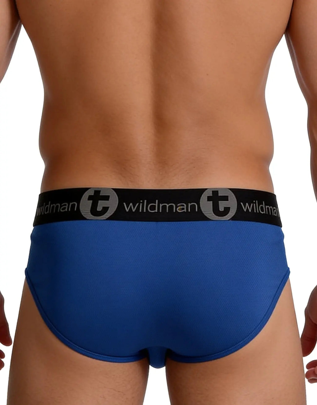 Rear view of a person wearing blue briefs with a black waistband.