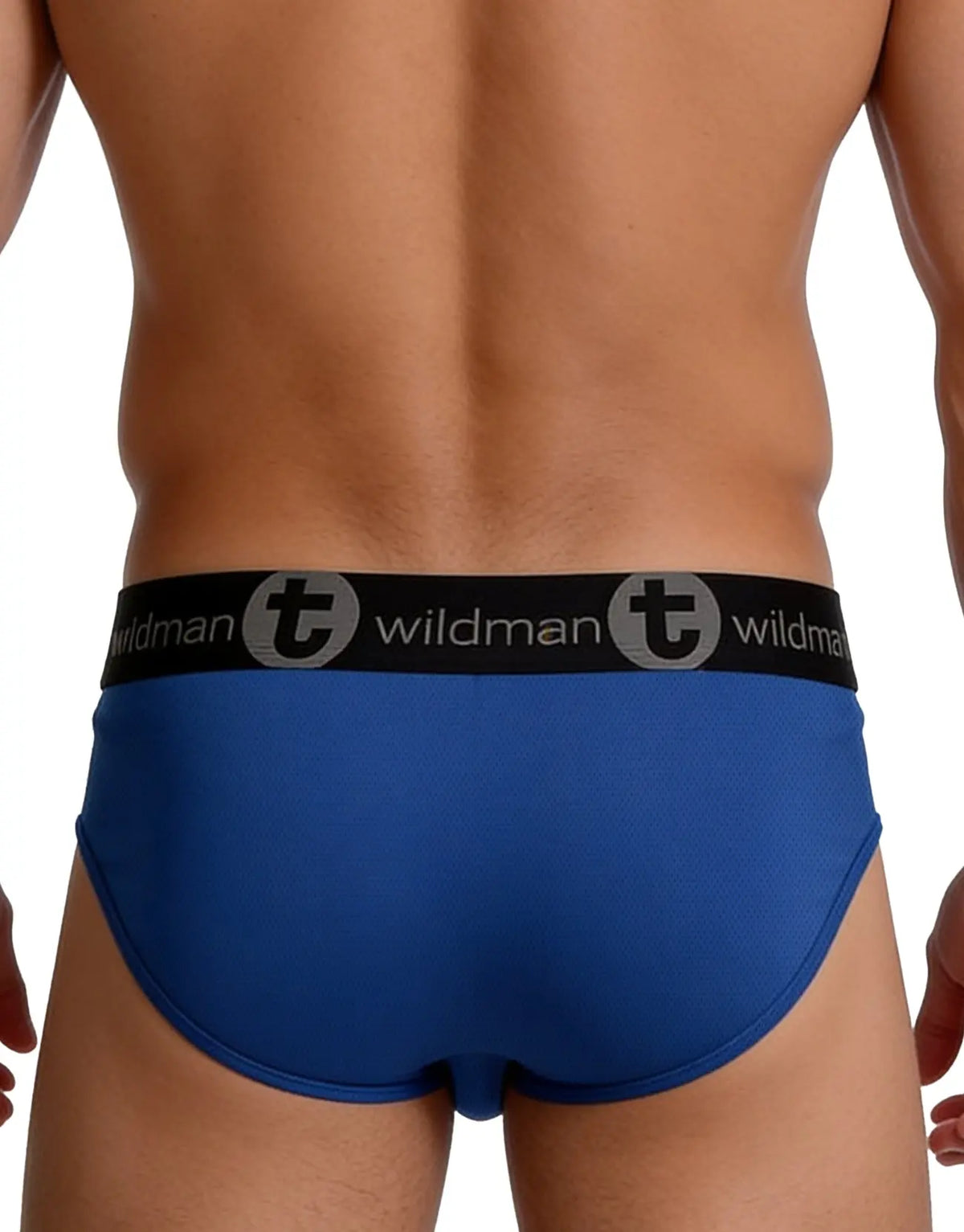 Rear view of a person wearing blue briefs with a black waistband.