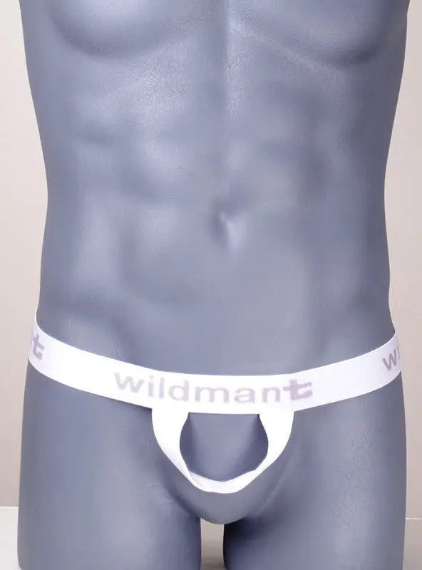 Gray mannequin torso wearing white underwear with text.