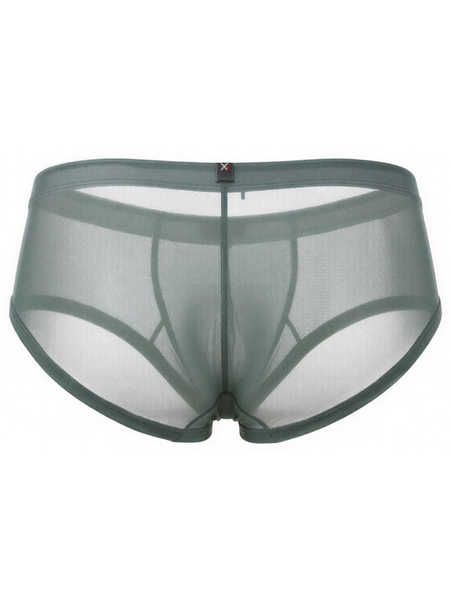 Xtremen sheer mesh brief in sage green, featuring a front pouch and logo waistband tab. Model: 21151.