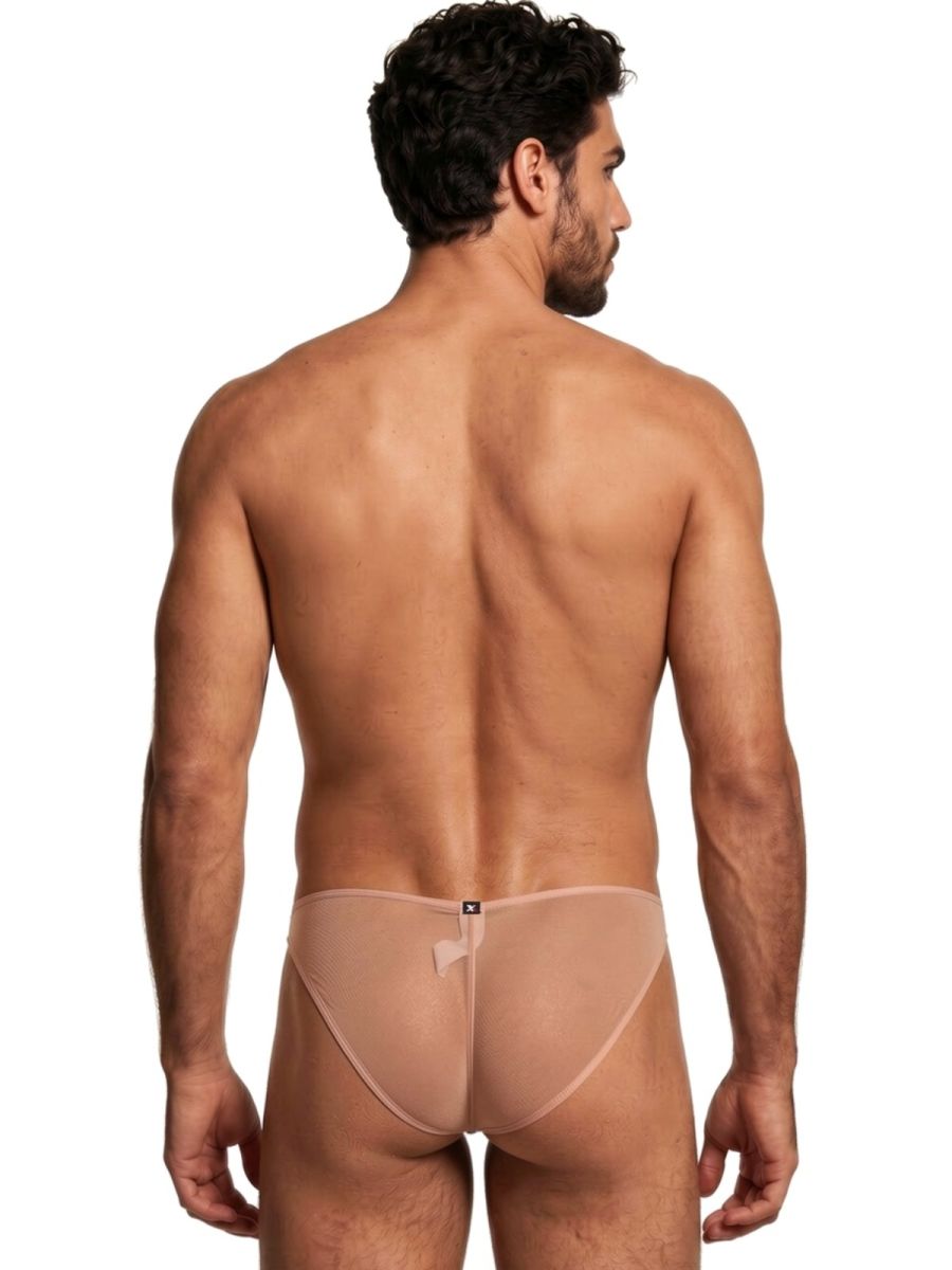 Xtremen nude sheer mesh bikini brief, model 95290. Rear view showing lightweight, see-through fabric design.