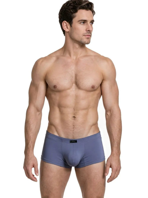 Xtremen 91285 Men's Underwear Sleek Microfiber Briefs Color Gray