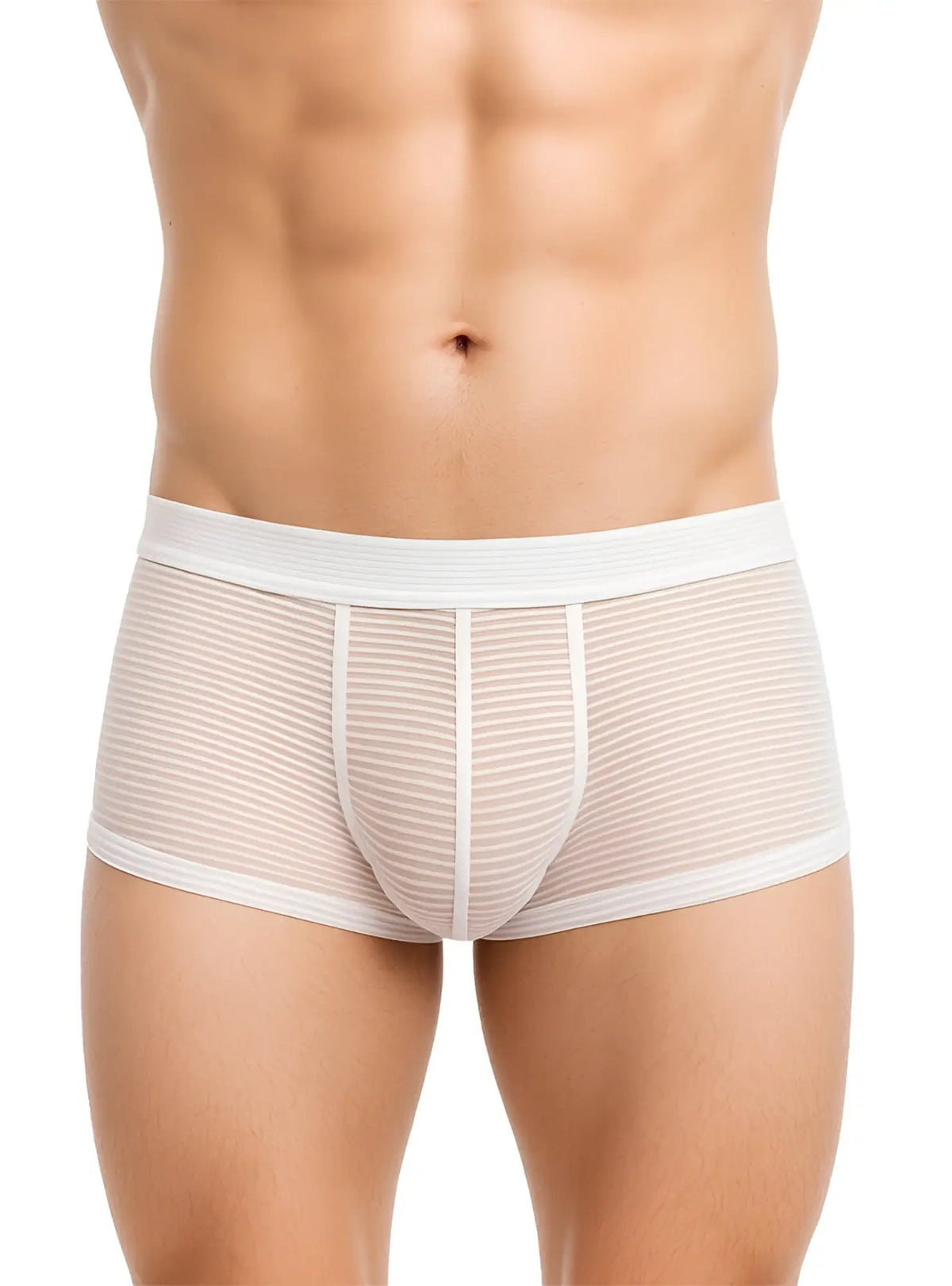 White striped menâ€™s briefs ActiveStripe cotton trunk with sheer textured fabric and reinforced white waistband