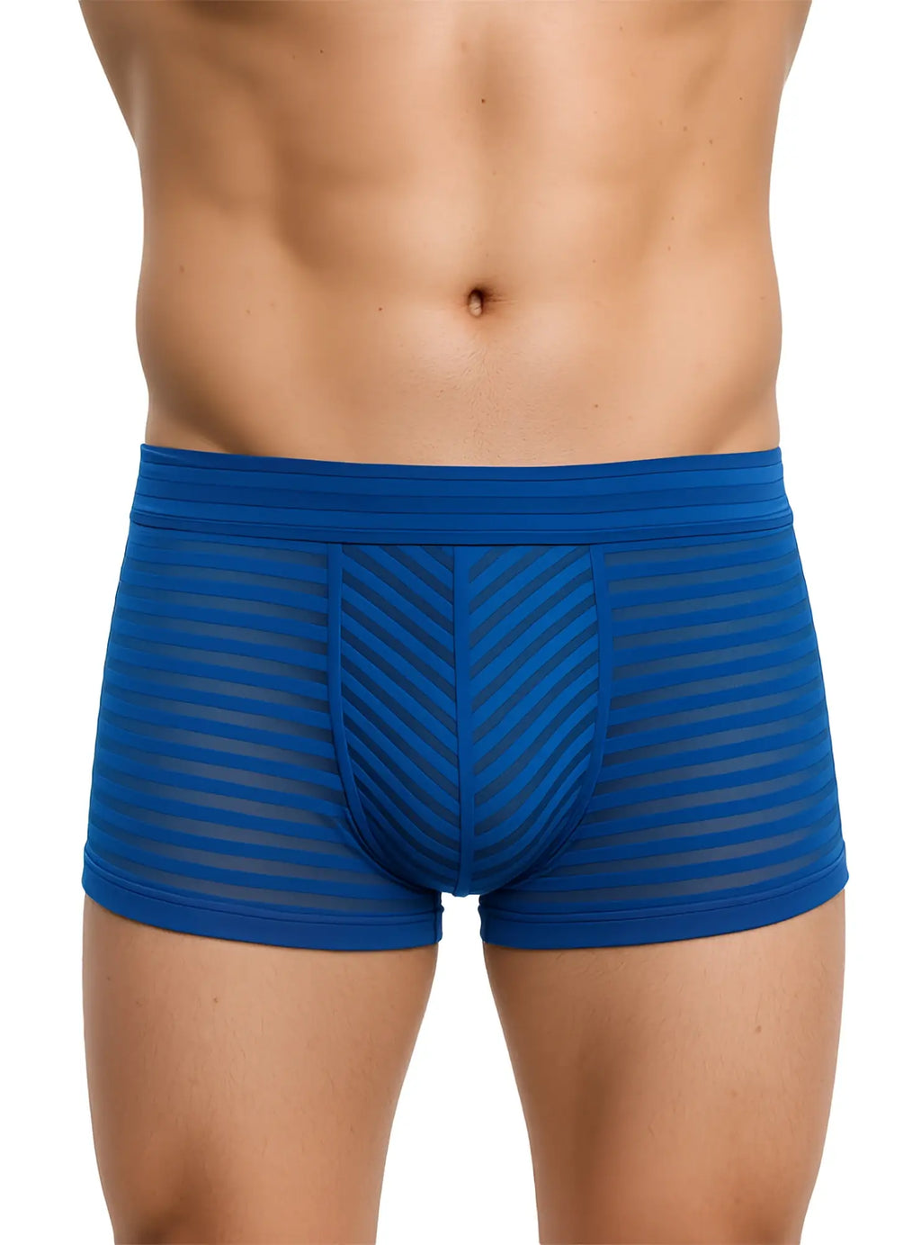 Active stripe nylon trunk menâ€™s blue striped boxer briefs with chevron pattern and sheer mesh fabric front view