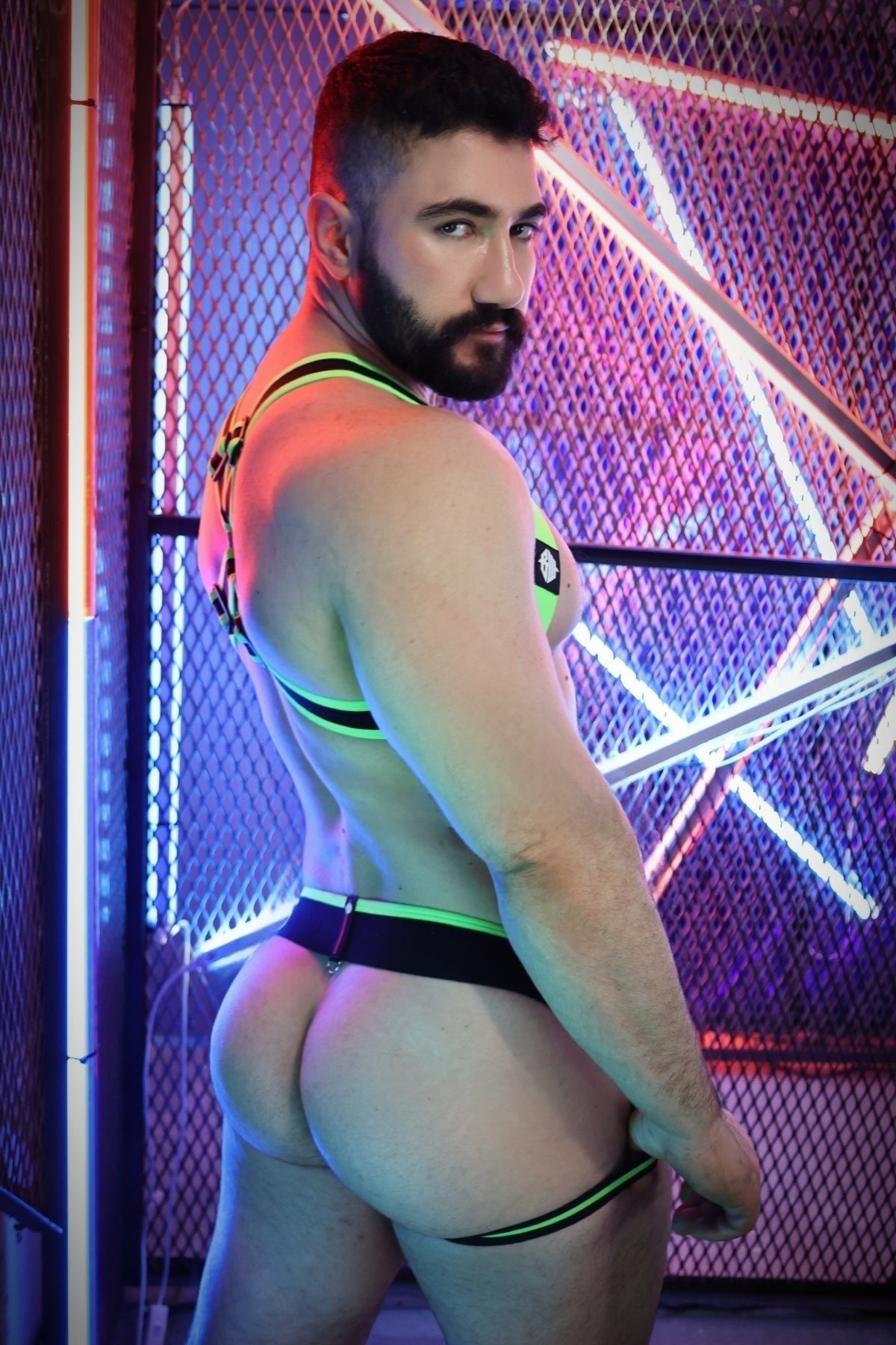 Breedwell Gay Men's After Dark Body Harness