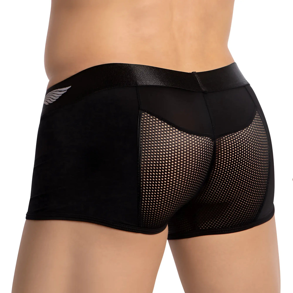 Black mens briefs with shiny elastic waistband mesh back panels and silver wing logo agacio agg082 boxer trunk back view