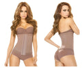 Ann Chery 5145 powernet waist cincher in taupe with vertical paneling and matching high waisted briefs in brown