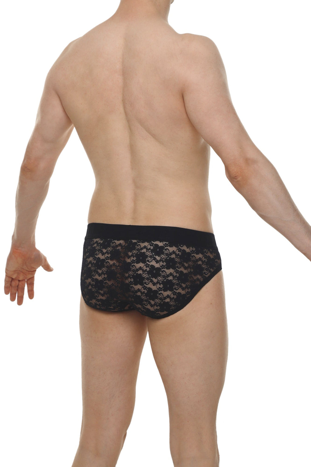 PetitQ Brief Dome Lace Black