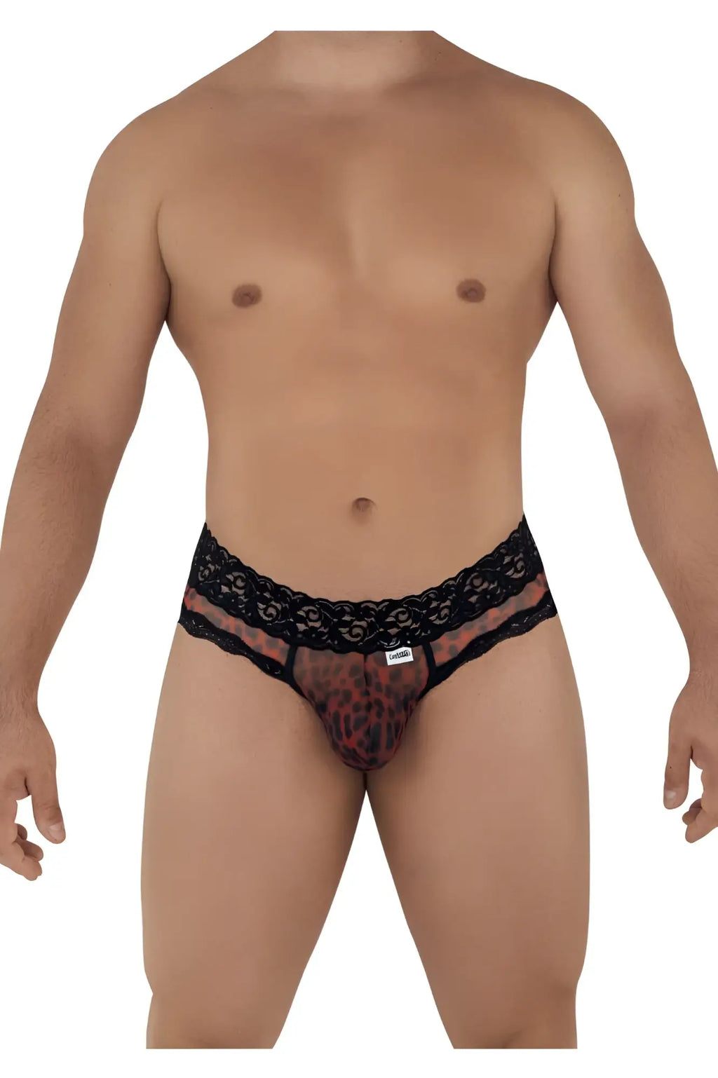 Black lace-trimmed men’s briefs with sheer leopard-print mesh front from candyman 99596 collection