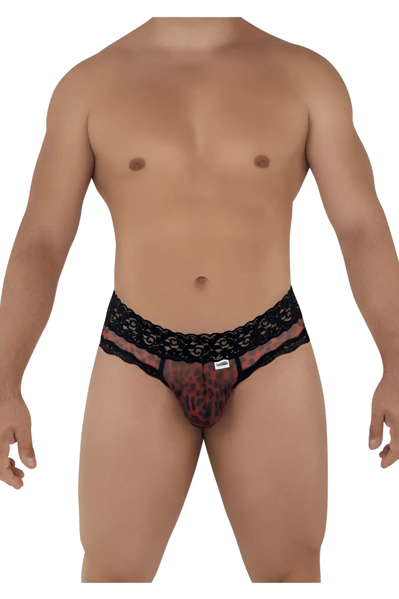Black lace-trimmed men’s briefs with sheer leopard-print mesh front from candyman 99596 collection