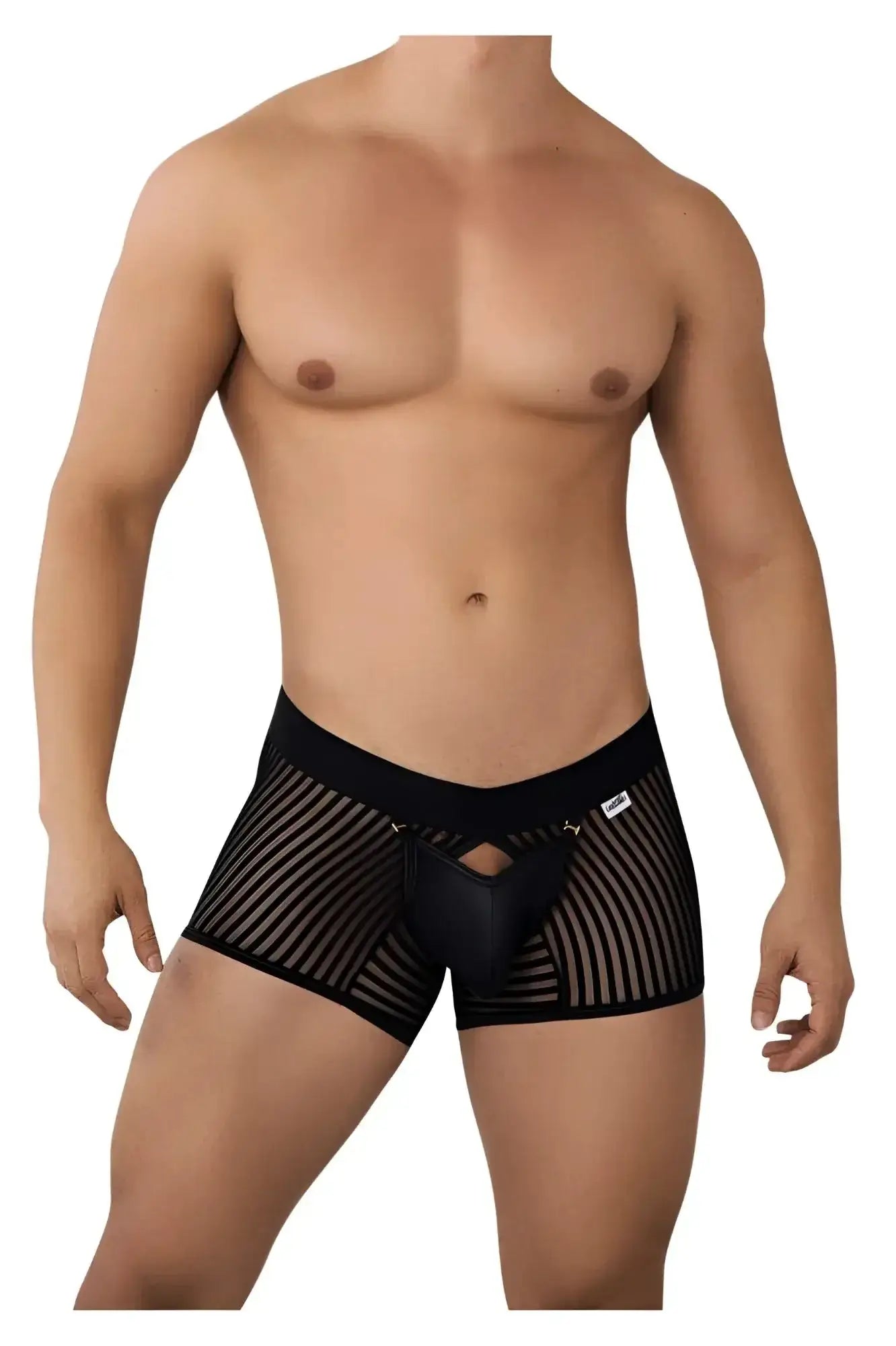 CandyMan 99636 mesh trunks in black with a solid front panel and black striped mesh briefs design