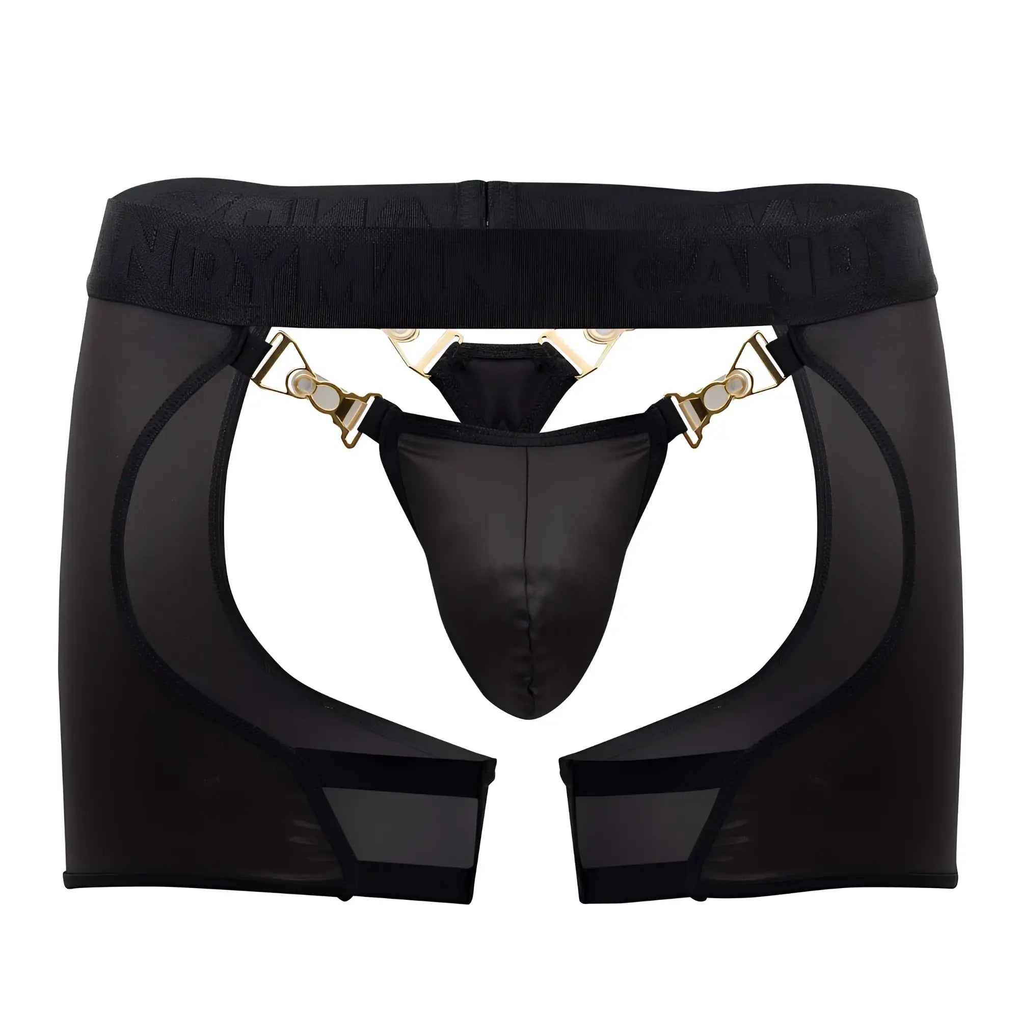 Black sheer mesh garter belt with gold tone clasps and central black thong candy man 99637 chaps thongs
