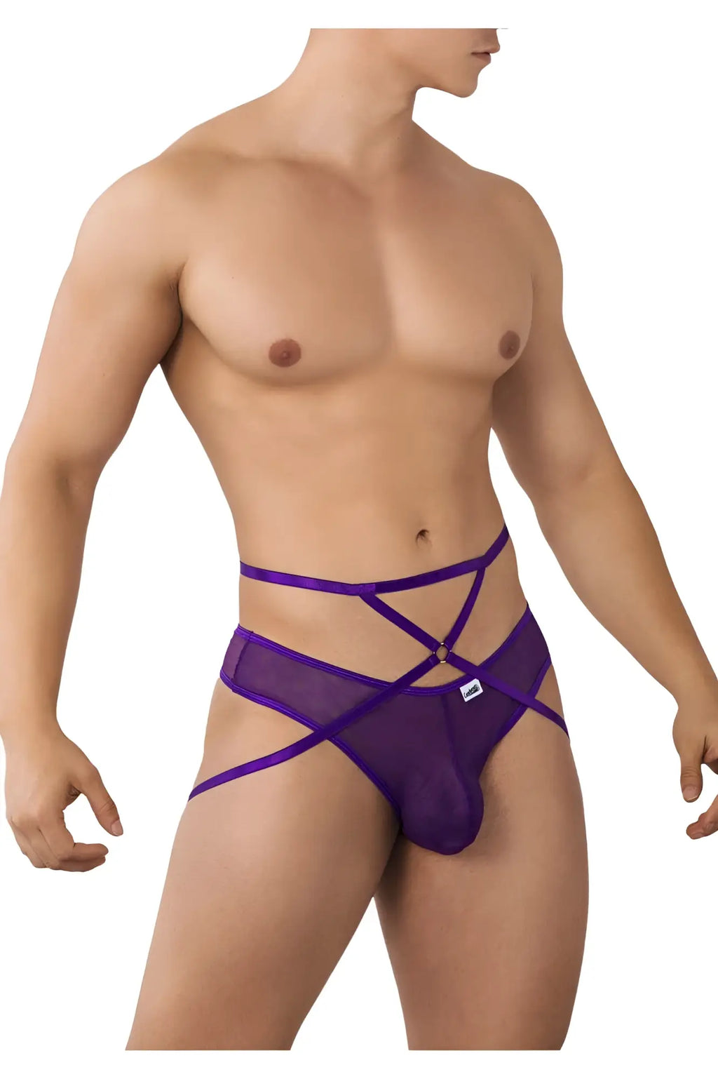 Purple mesh men’s briefs with crisscross straps and central clasp from candyman 99640 mesh thongs collection