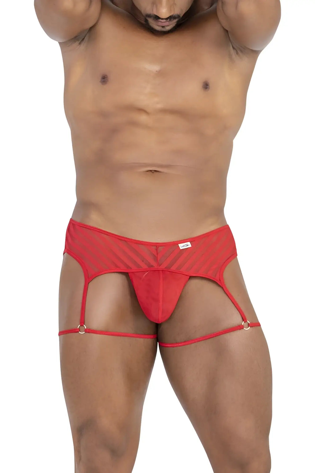 Candyman 99792 mesh garter thongs in red feature a solid front panel with red mesh and adjustable leg straps