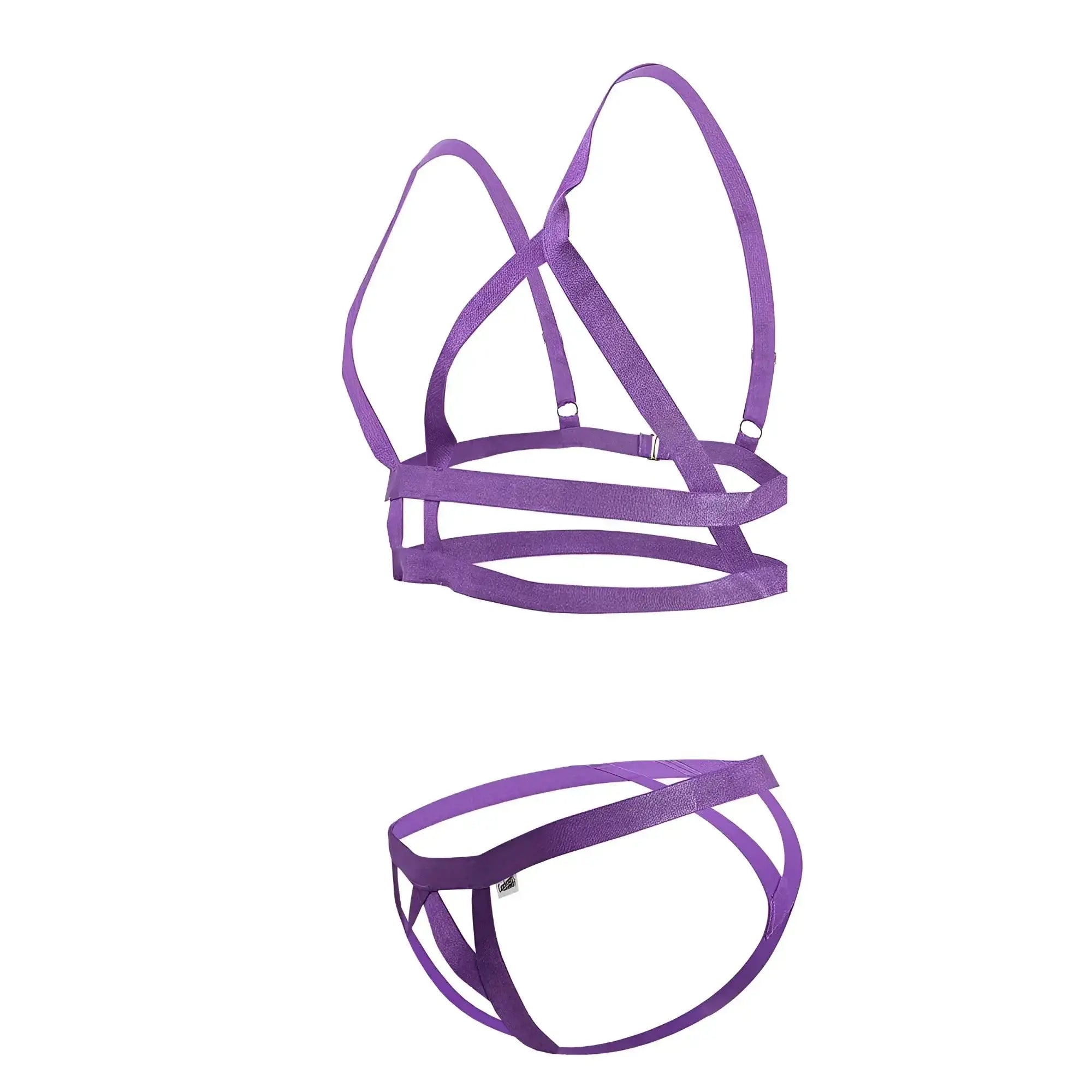Purple satin harness set with adjustable straps and metallic clasps from candyman 99822 two piece outfit color violet