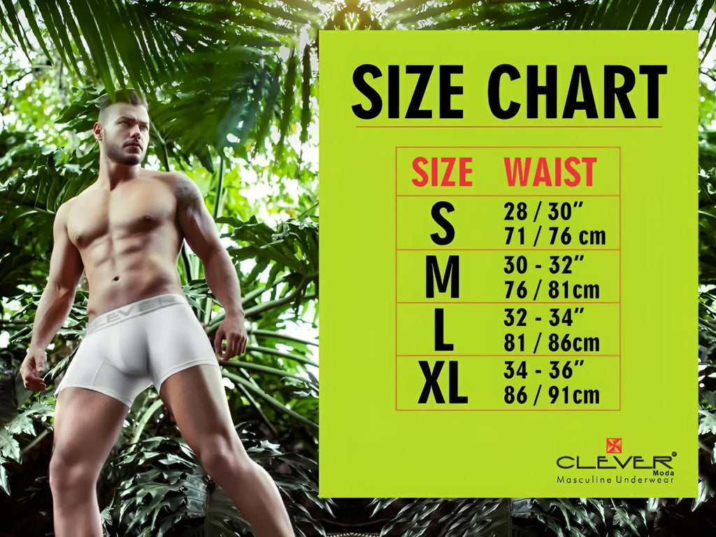 White boxer briefs with a subtle elastic waistband featuring the Clever brand logo in gray color