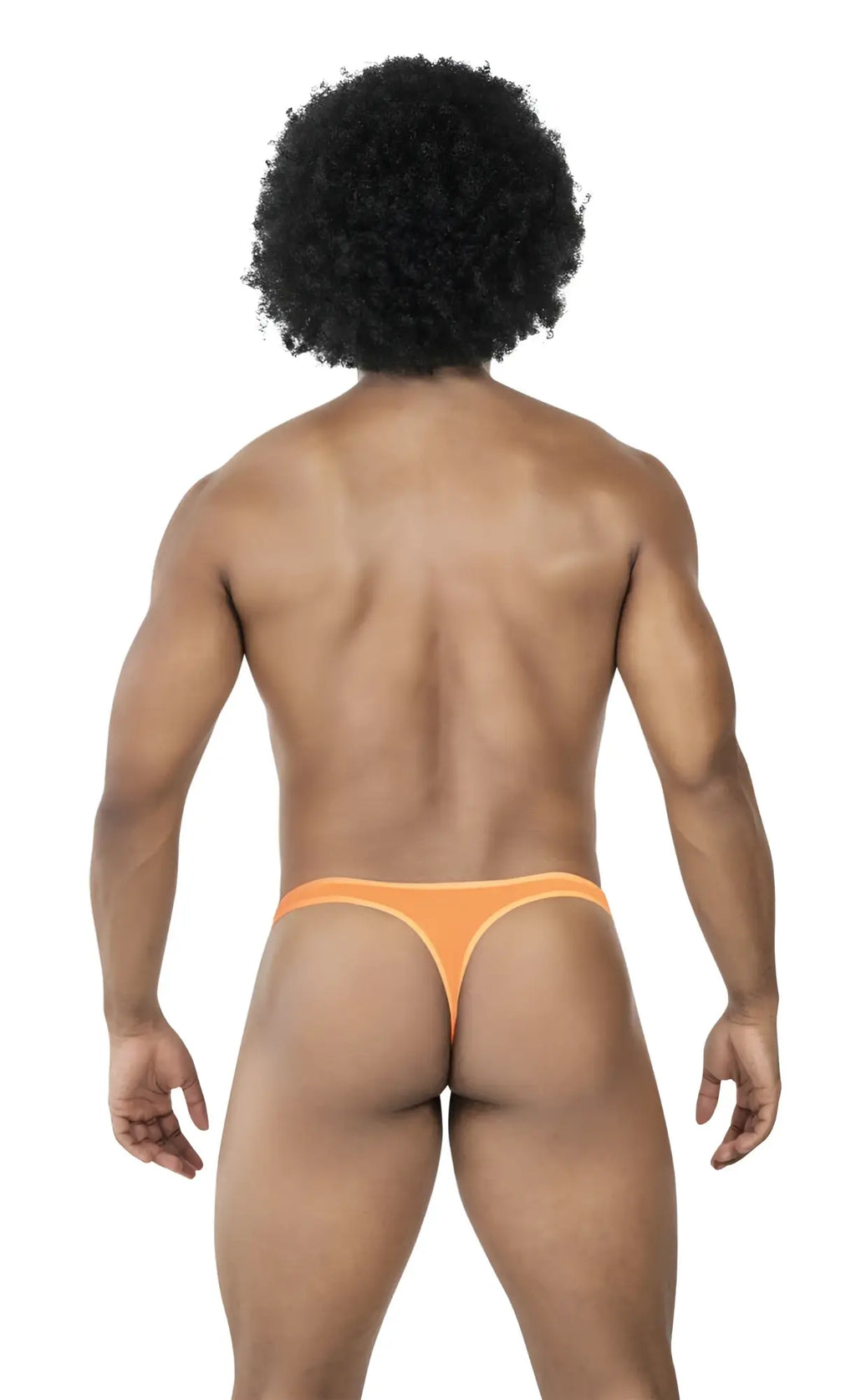 Orange seamless thong with thin design from clever 100008 3pk australian latin thongs in black orange black colors