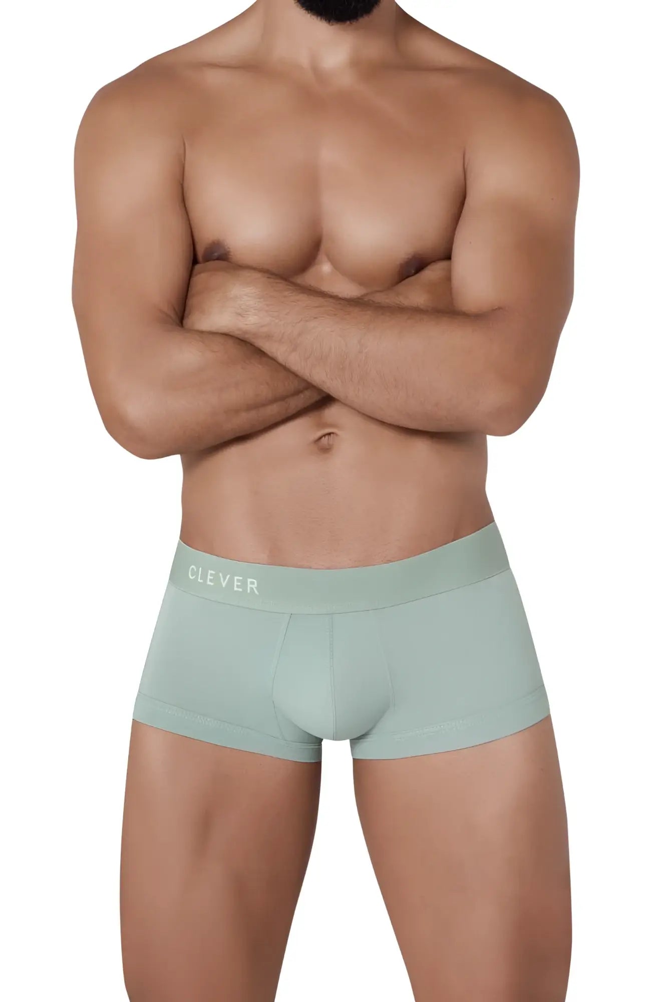 Mint green cotton clever 1306 tribe trunks briefs with a subtle clever logo on the waistband
