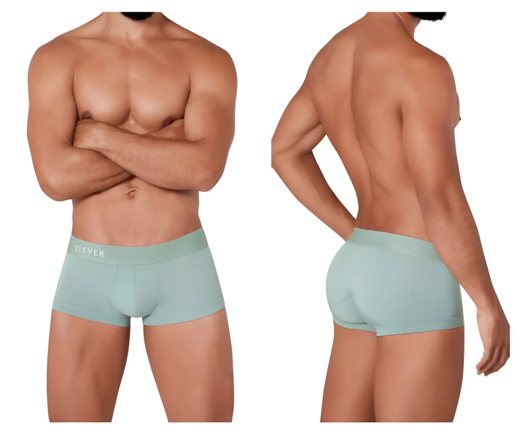 Mint green cotton clever 1306 tribe trunks briefs with subtle clever logo on the waistband