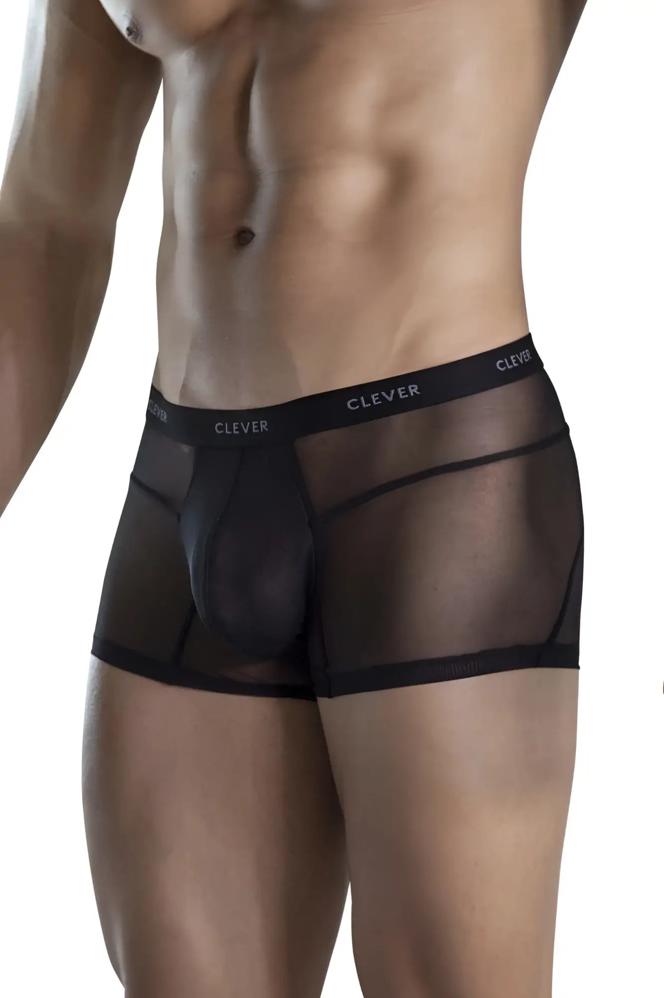 Black sheer mesh boxer briefs with a solid black waistband featuring clever branding from clever 1673 legend trunks