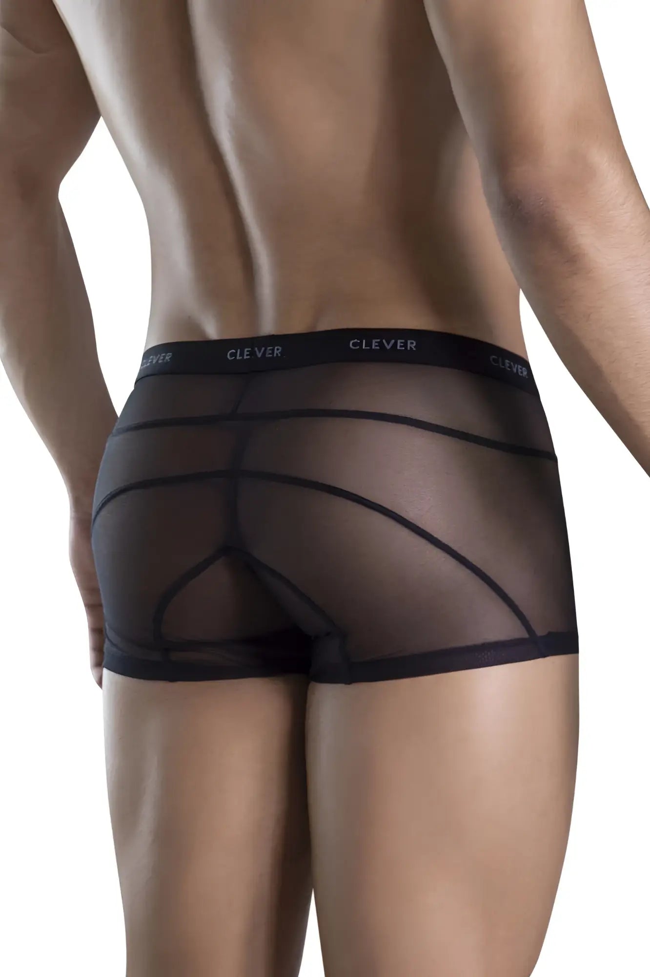 Black sheer mesh clever 1673 legend trunks briefs with elastic waistband and white clever print in black color