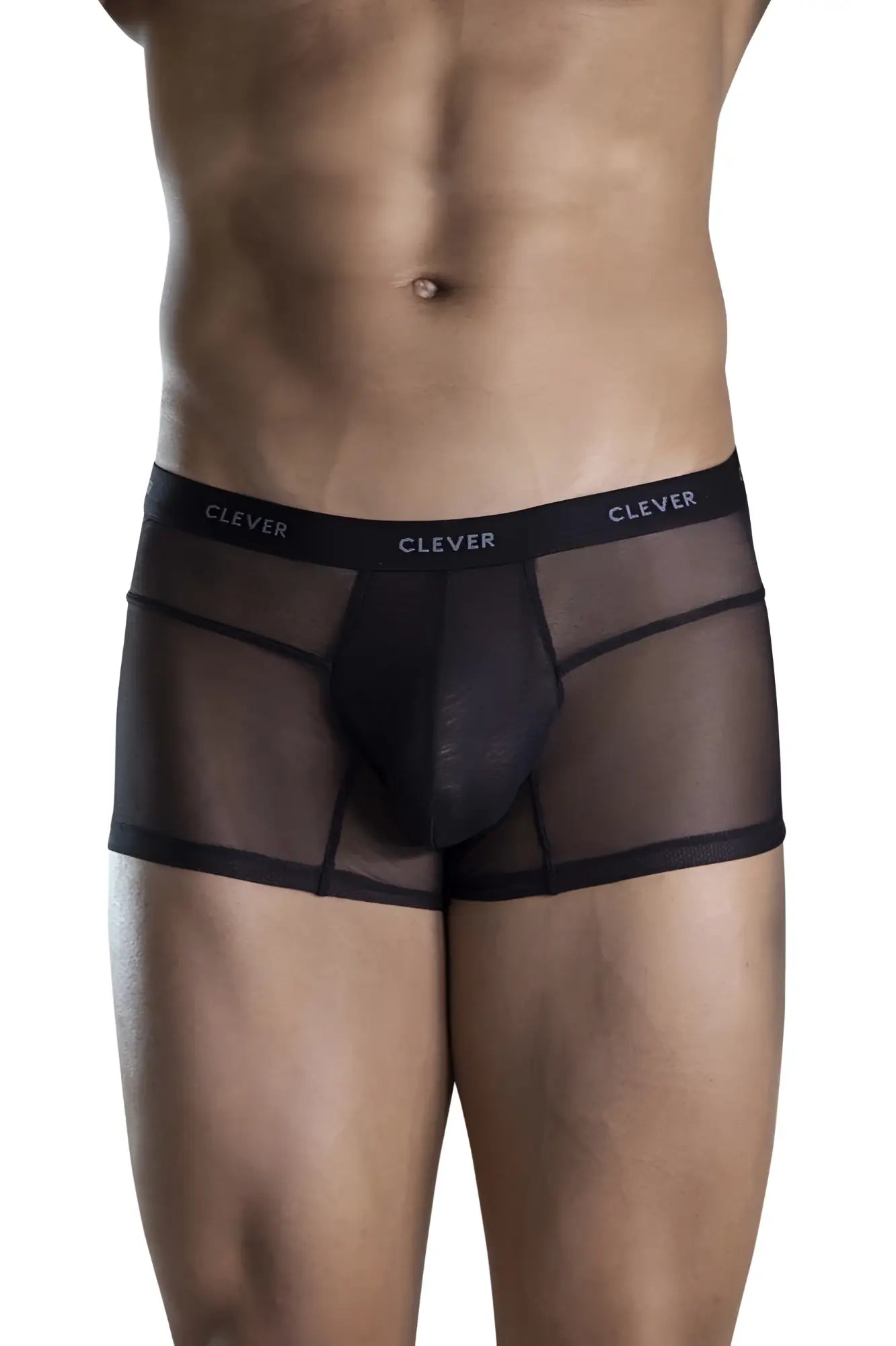 Black sheer mesh briefs with solid inner panel and elastic waistband branded clever from the clever 1673 legend trunks collection