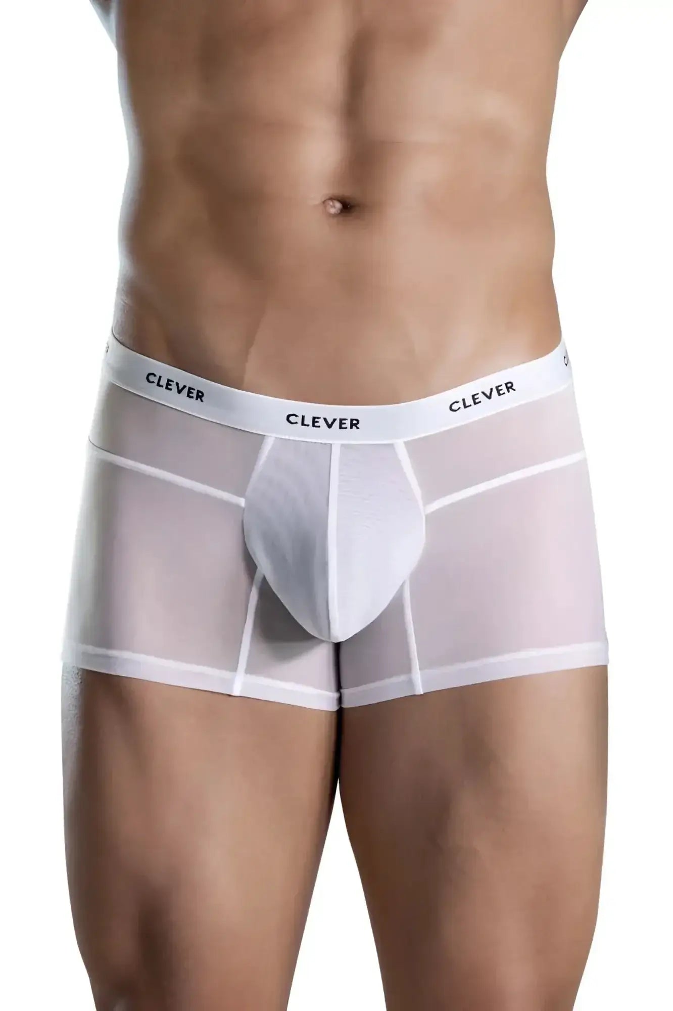 White sheer boxer briefs with a solid white front panel and clever branding on the waistband from Clever 1673 Legend Trunks