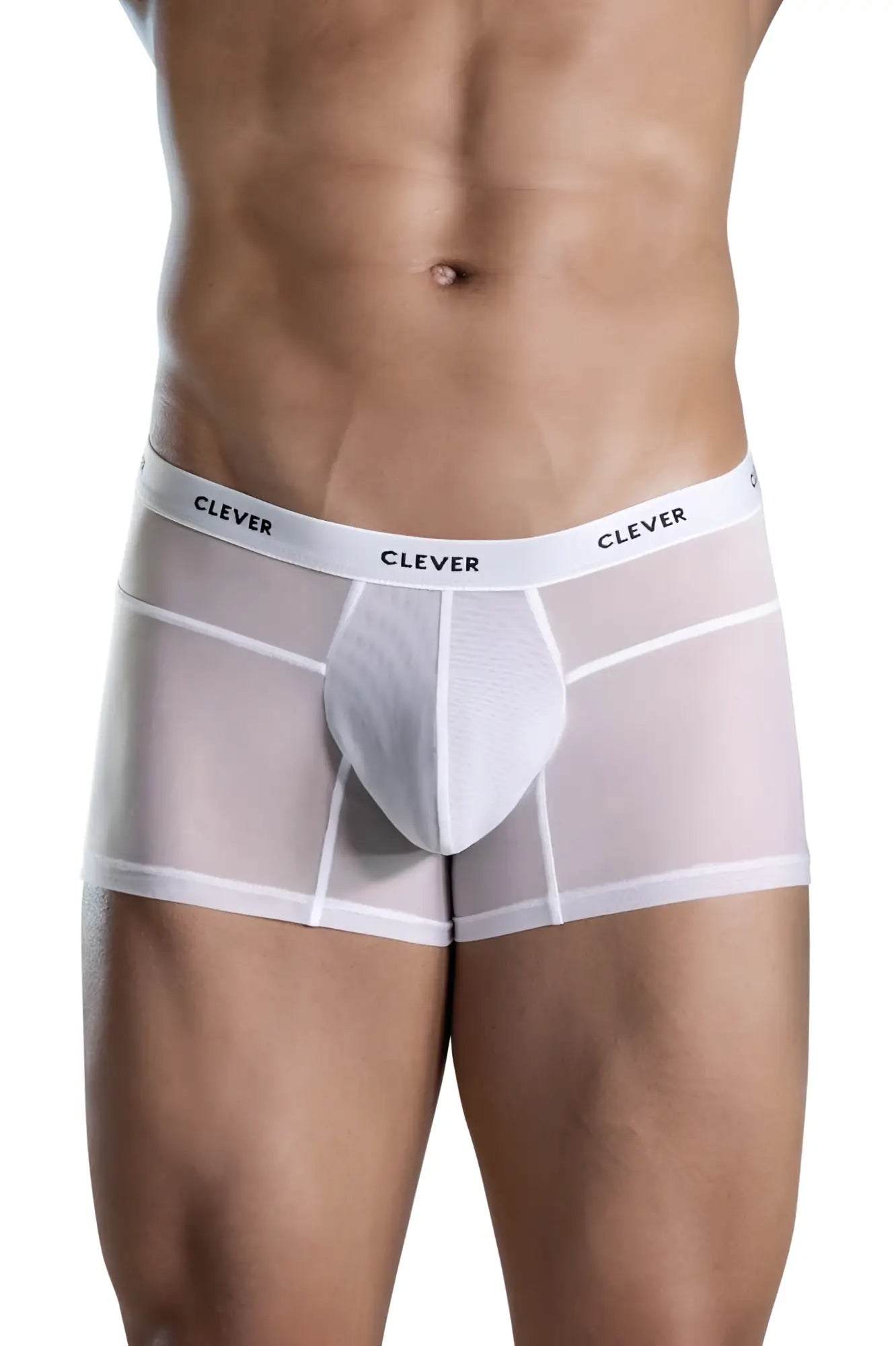 White sheer boxer briefs with a solid white front panel and clever branding on the waistband from Clever 1673 Legend Trunks