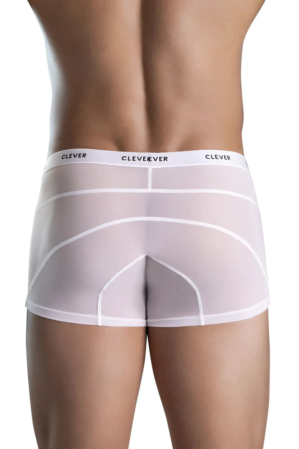 White sheer men’s briefs with subtle white elastic waistband featuring clever brand name repeated on the back