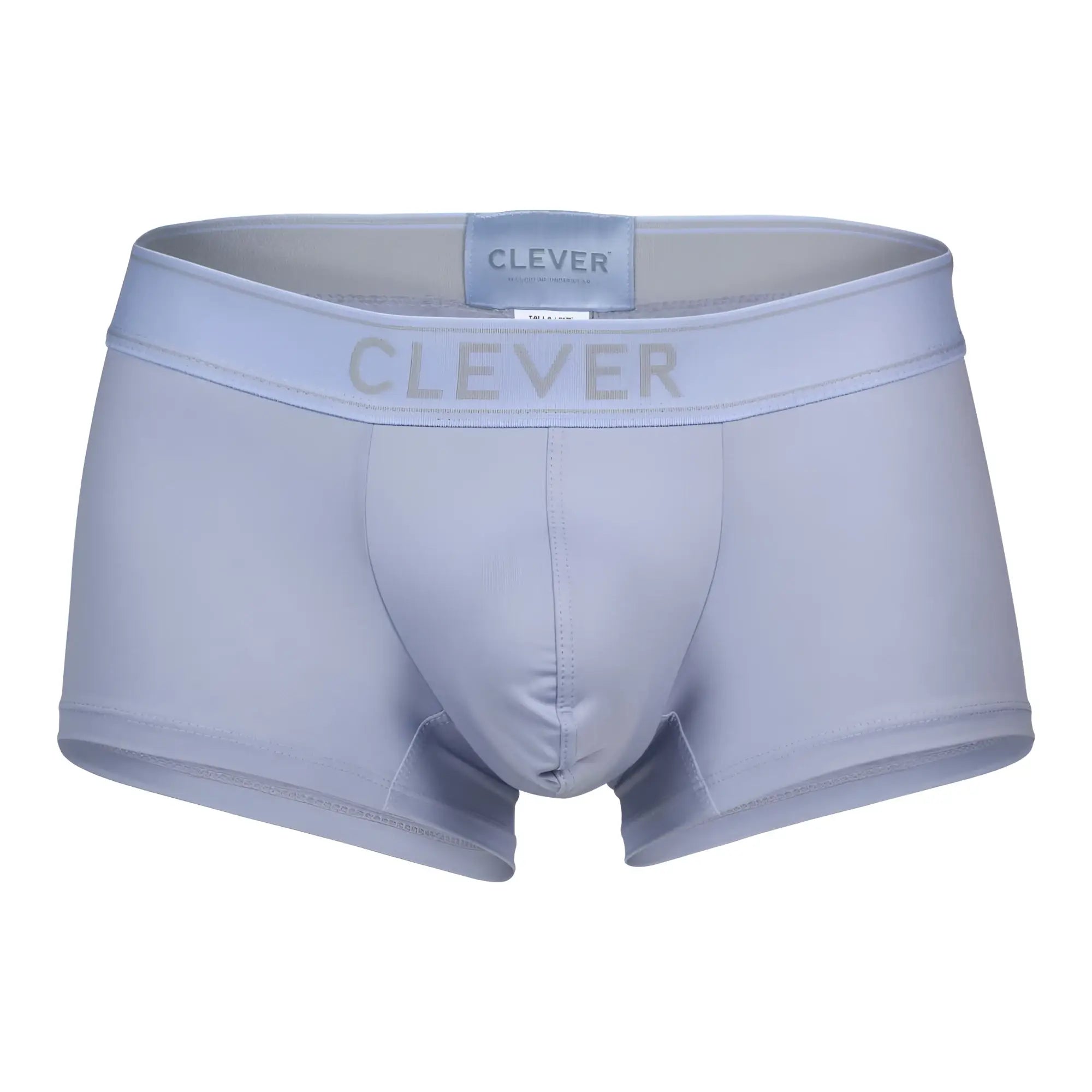 Light gray clever 1751 craftiness trunks mens briefs with subtle textured waistband and brand logo in blue