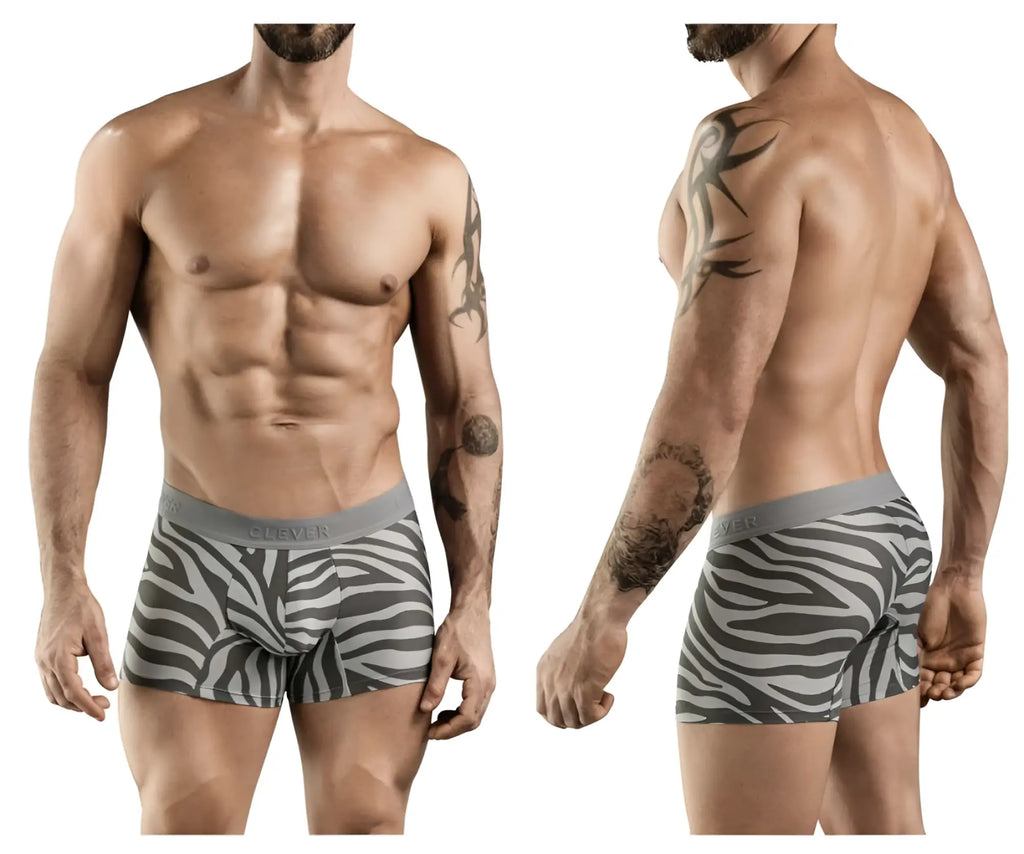 Gray and white zebra-striped boxer briefs with gray elastic waistband from clever 1800 cebra trunks color gray