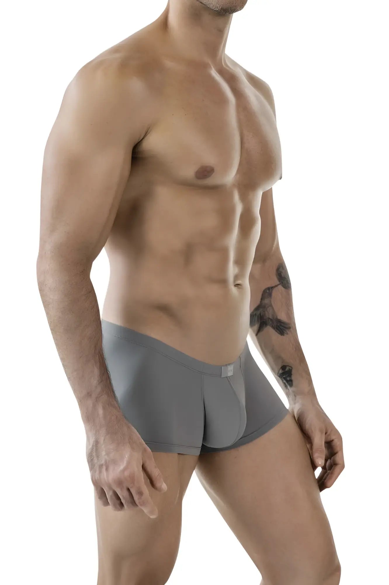 Gray clever 1842 buenavista trunks form-fitting boxer briefs with sleek modern design and subtle waistband brand tag