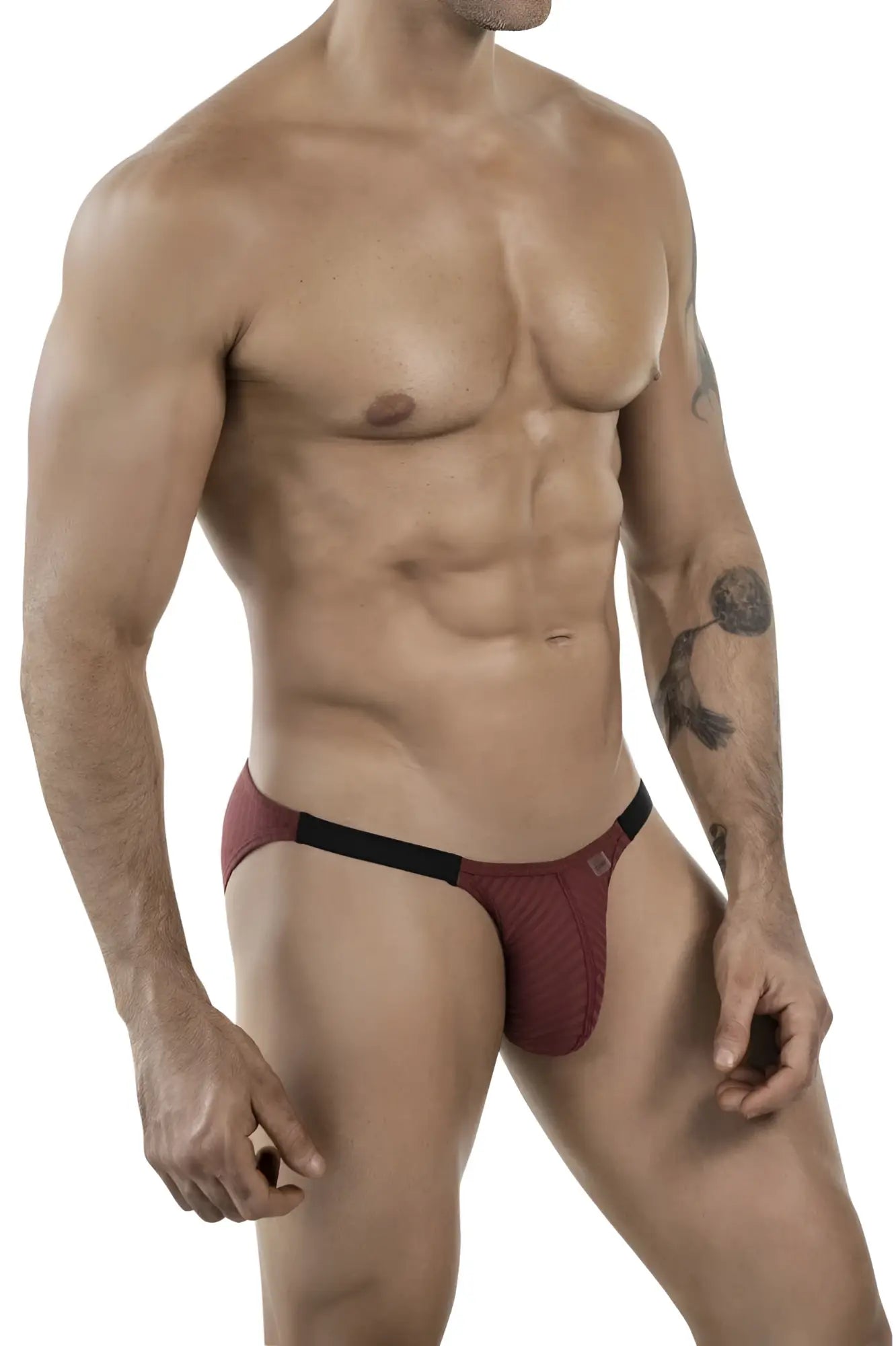 Maroon and black textured briefs with a sleek modern design in clever 1846 mantra bikini color grape