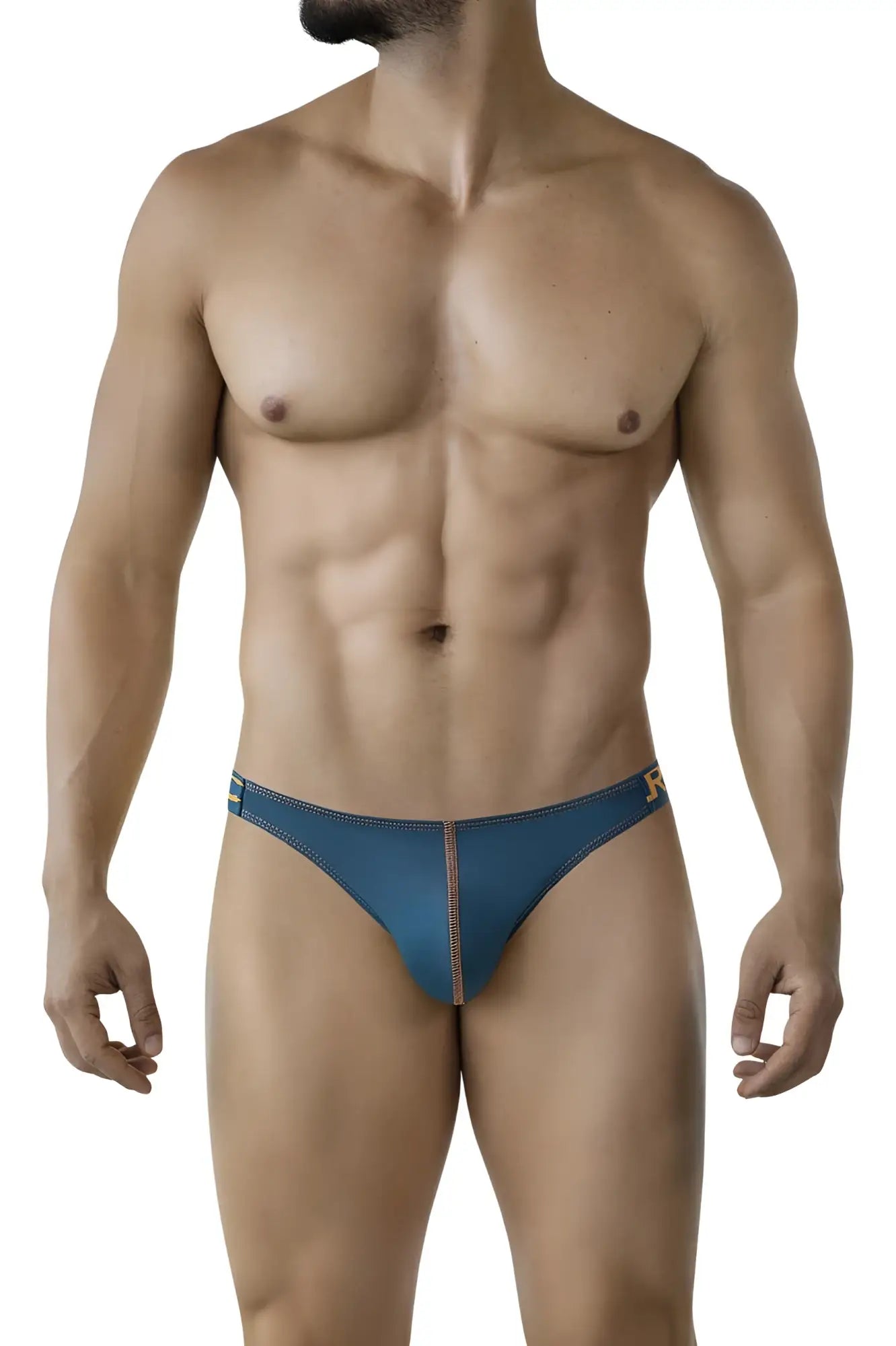 Blue leather briefs with a subtle gold logo in clever 2009 earthskin bikini color petrol green