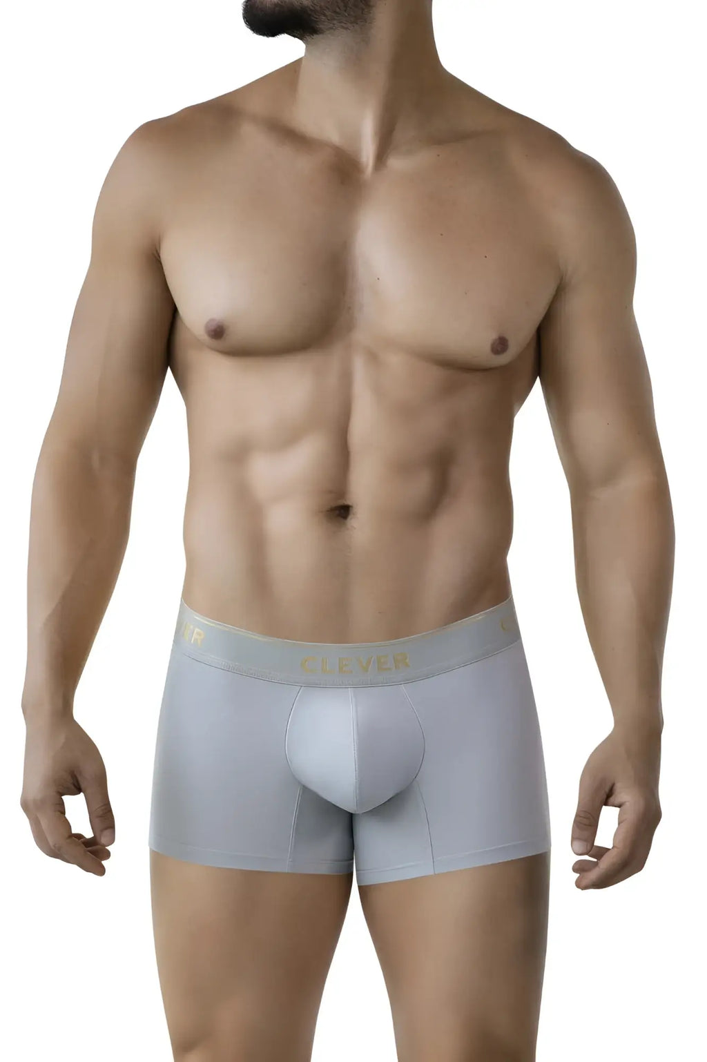 Light gray clever 2026 valladolid trunks boxer briefs with subtle gold clever logo on waistband