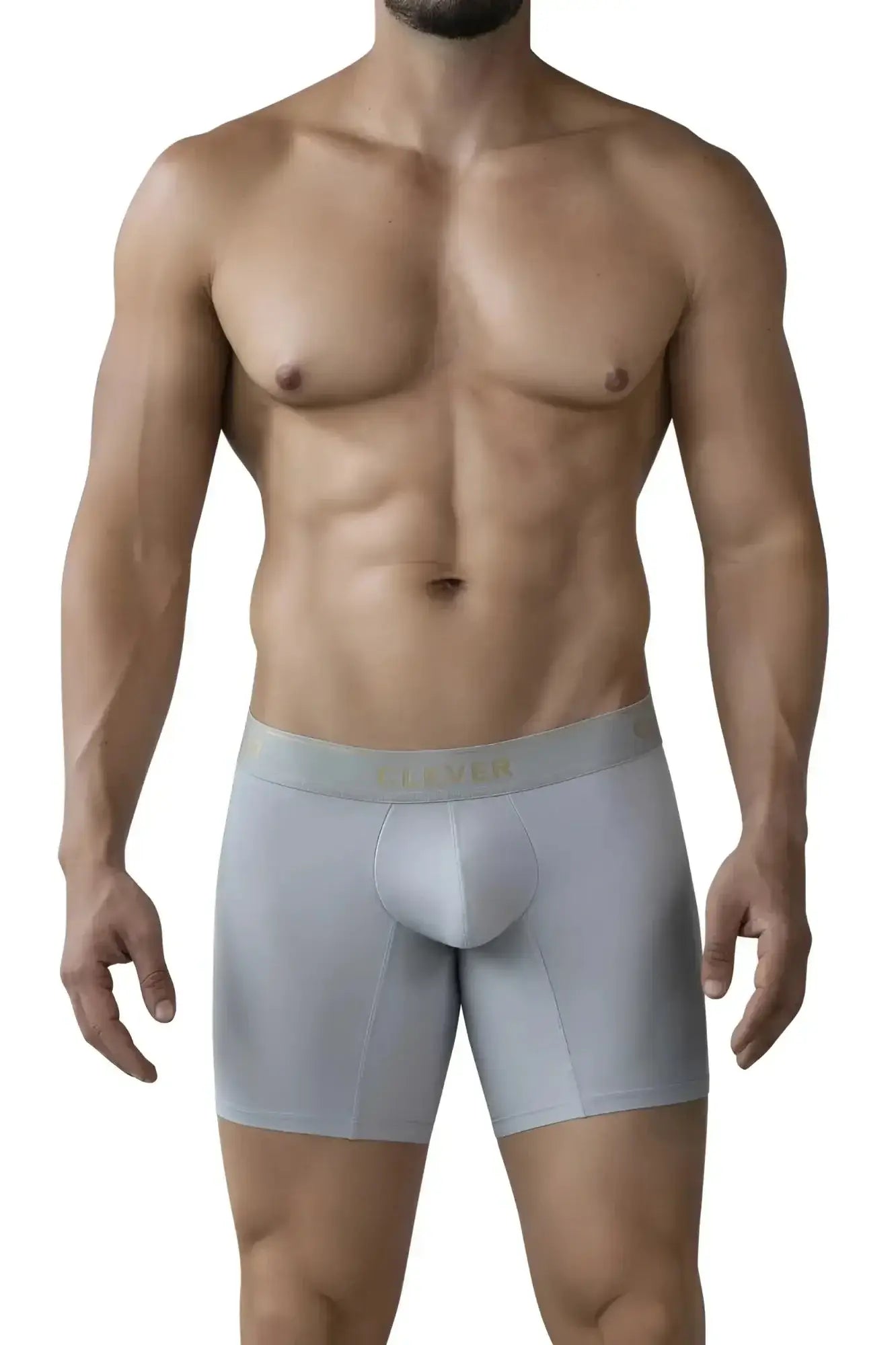 Light gray clever 2027 valladolid boxer briefs with a subtle gold logo on the waistband and form-fitting design