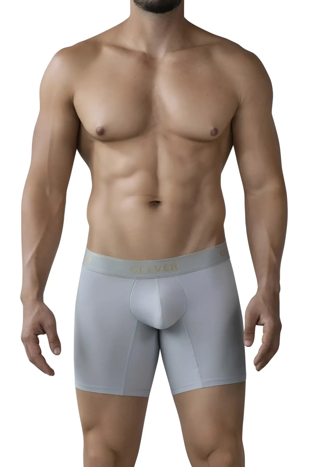 Light gray clever 2027 valladolid boxer briefs with a subtle gold logo on the waistband and form-fitting design