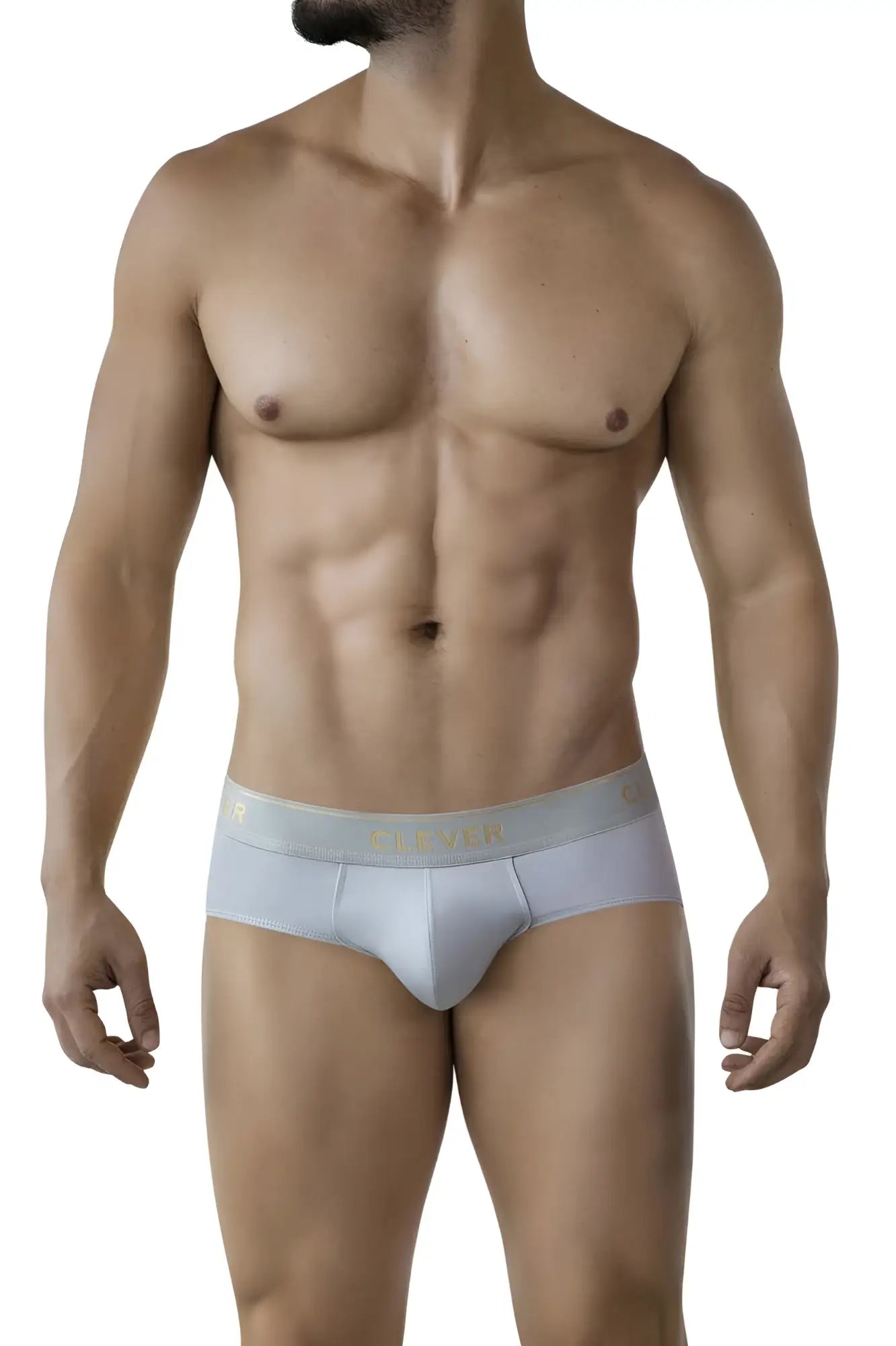 Light gray seamless clever 2028 valladolid briefs with a subtle gold logo band at the waist