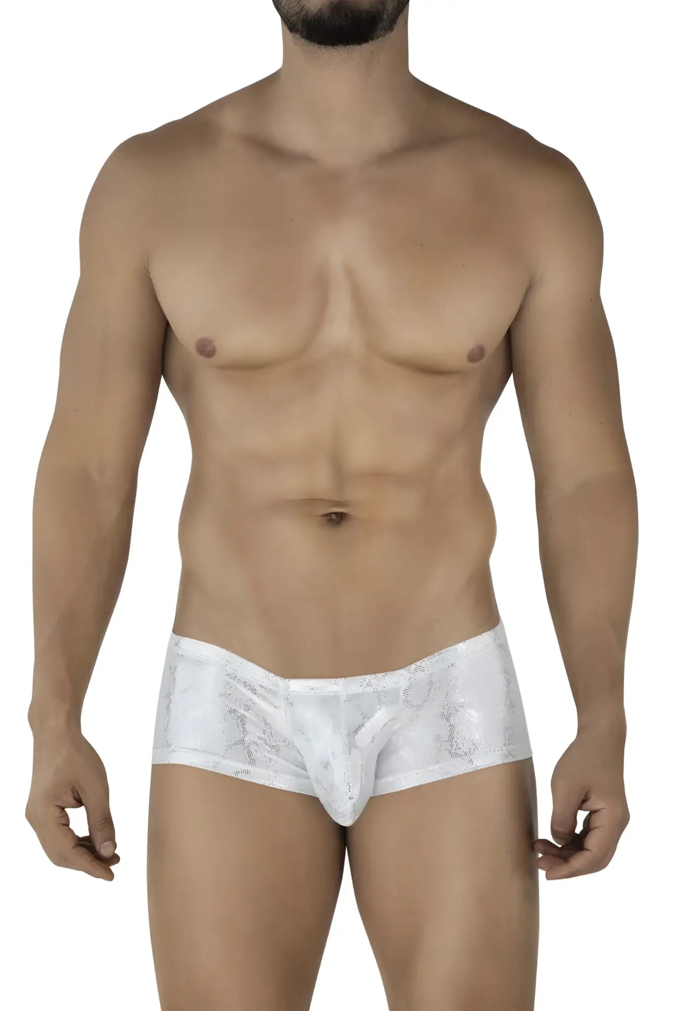 White lace-trimmed silver clever 2061 diamond trunks briefs with subtle shimmering pattern