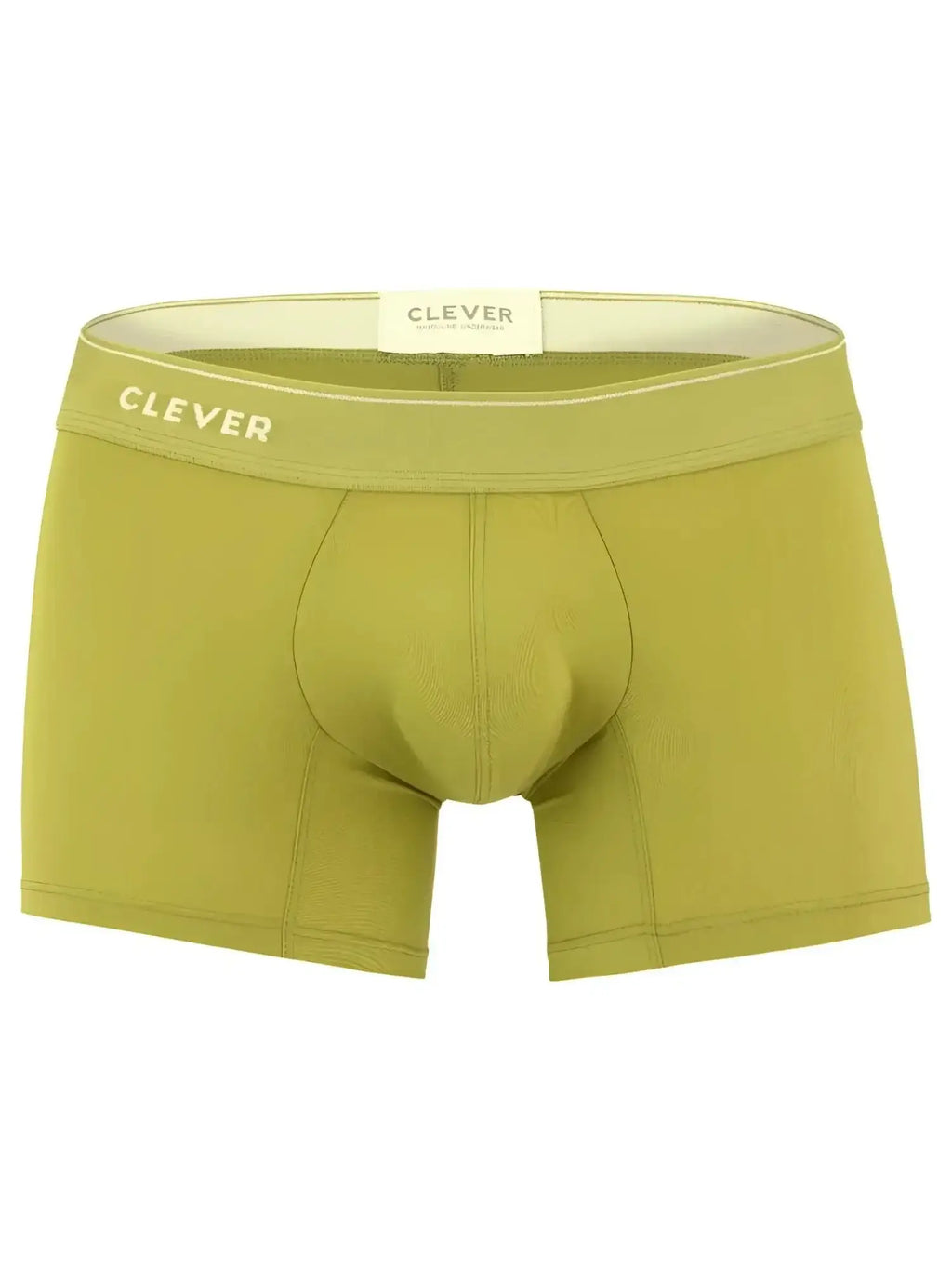 Front view of green Clever 26008 Atenea boxer briefs.