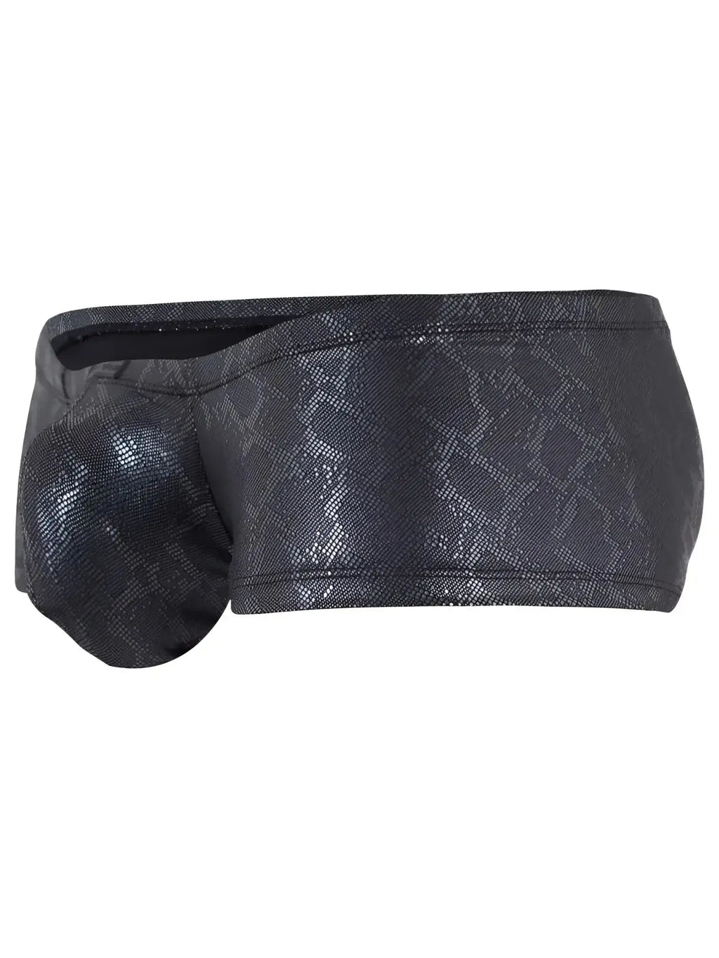 Clever 26043 Atlas trunks in sleek metallic black; side-front view showing the textured, snakeskin-pattern fabric.