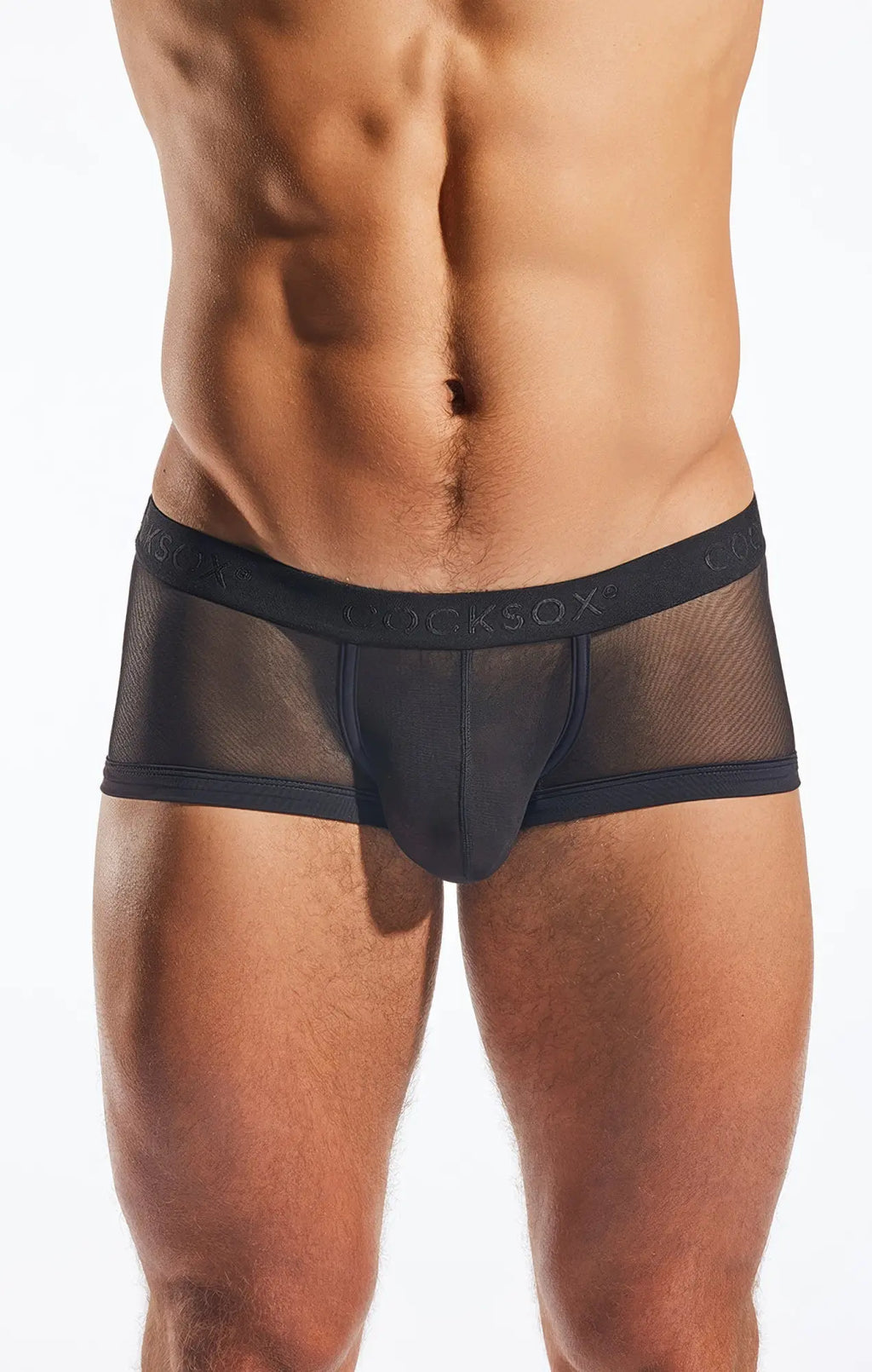 Black mesh briefs with a solid front panel and locksox embroidered waistband cocksox cx68me mesh trunk